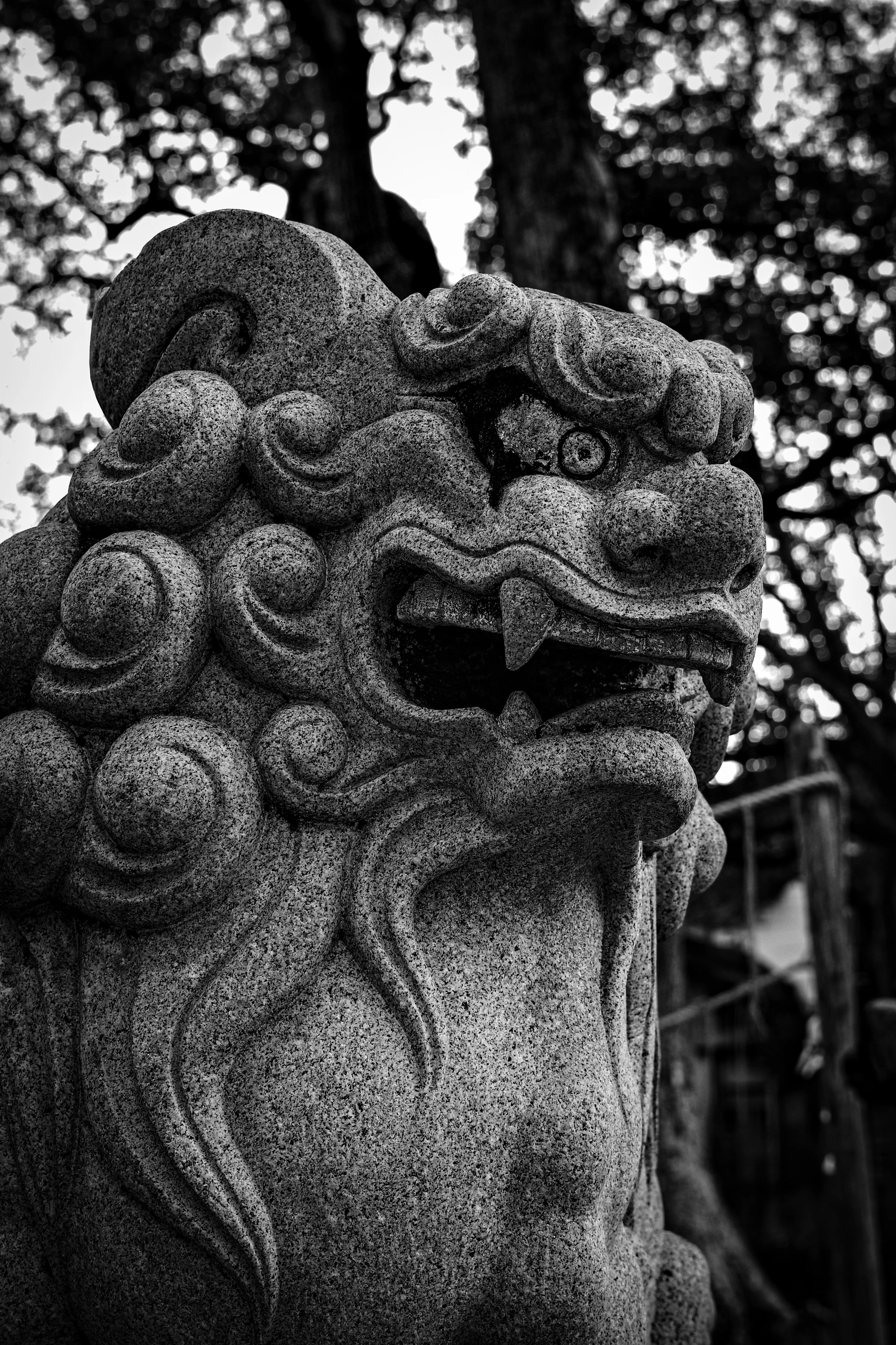 HD PENTAX-DA 35mmF2.8 Macro Limitedという万能選手。｜鶏(とり)