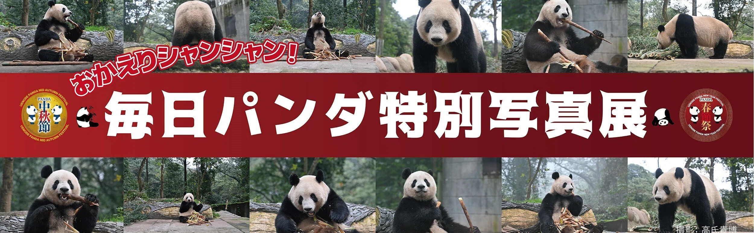 ウエノデ.パンダ春節祭2025の開催が決定！｜上野案内所