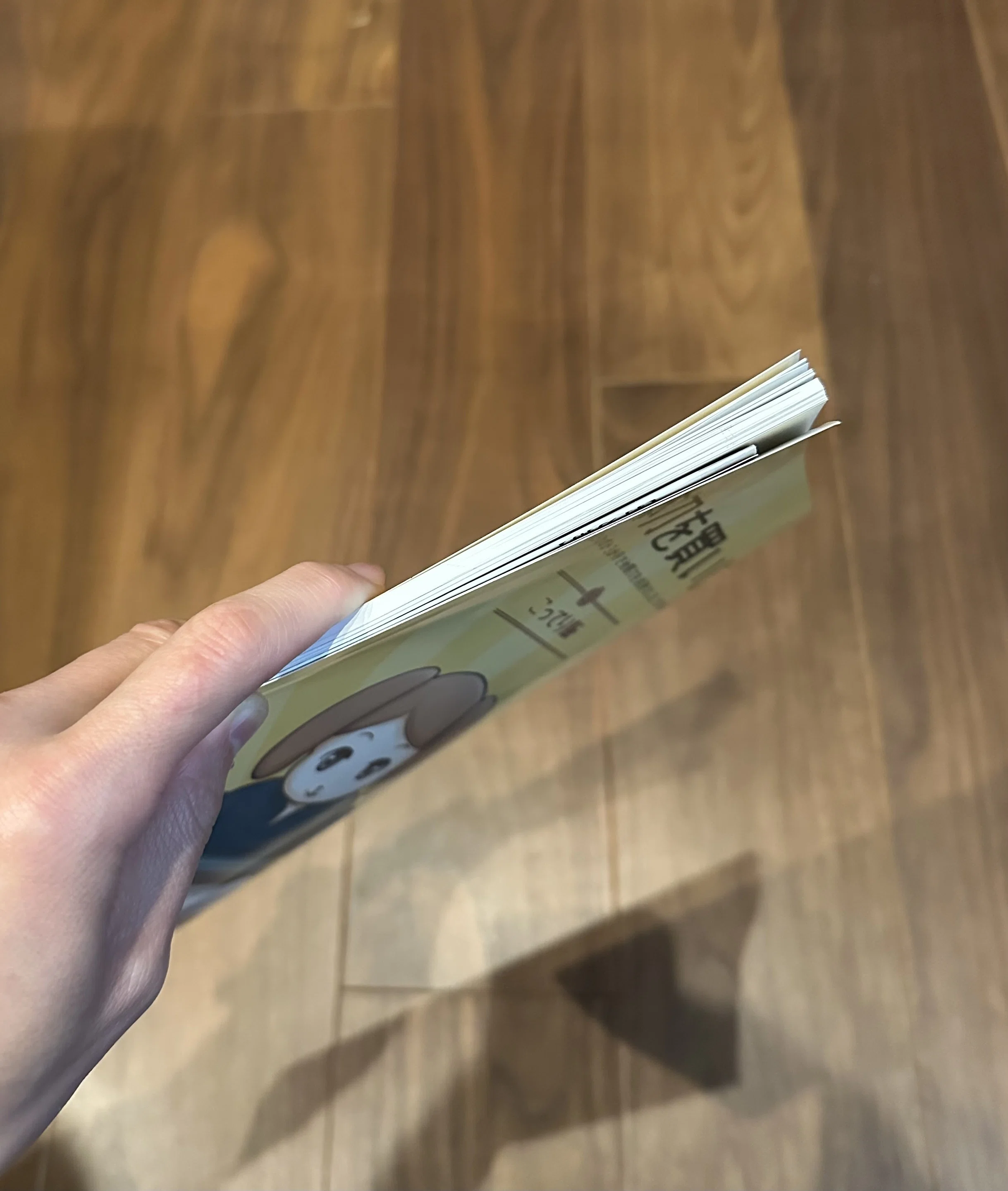 同人誌「日本刀を買いに。」｜刀箱師の日本刀ブログ 中村圭佑