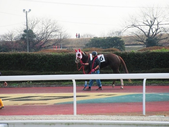 笠松競馬場パドック