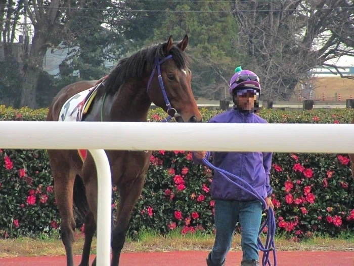 笠松競馬場パドックの様子