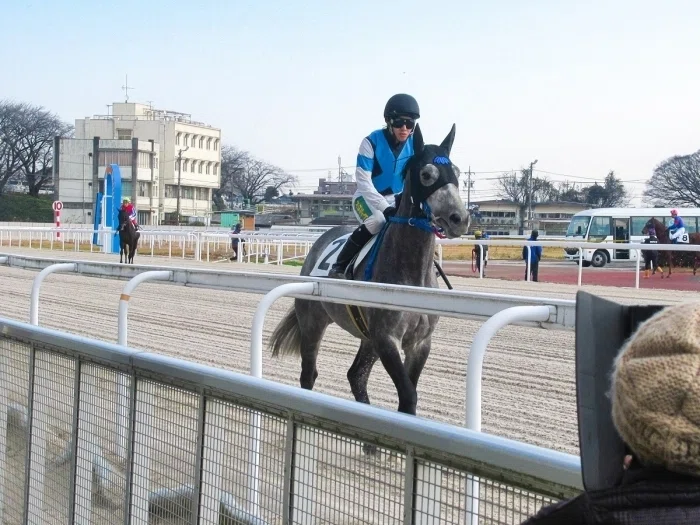 笠松競馬場本馬場入場(長江騎手)
