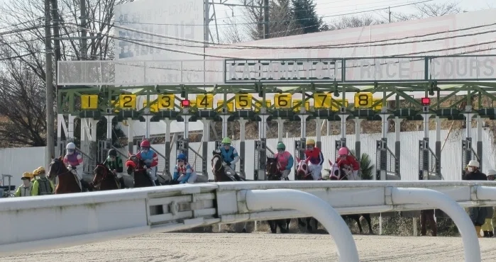 笠松競馬場スタート直後