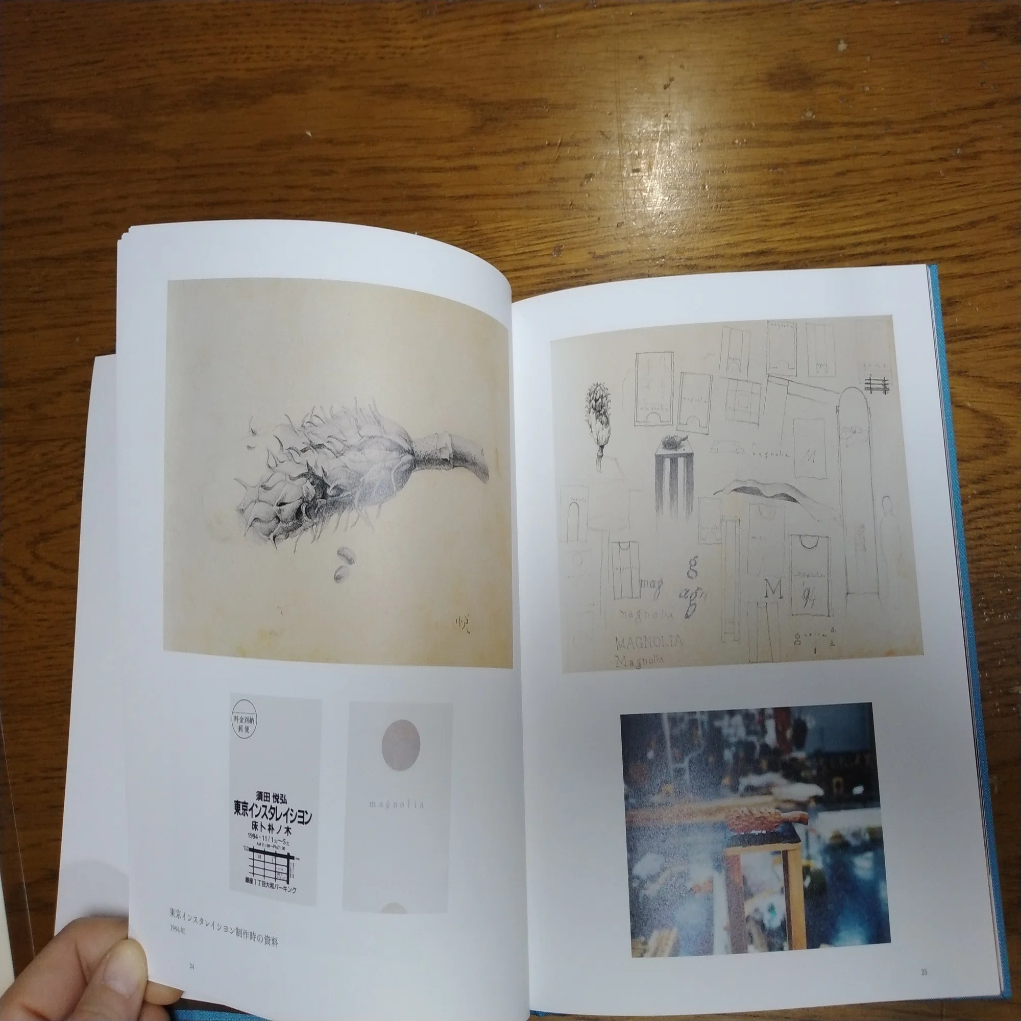 須田悦弘展図録が届いた！｜eneo