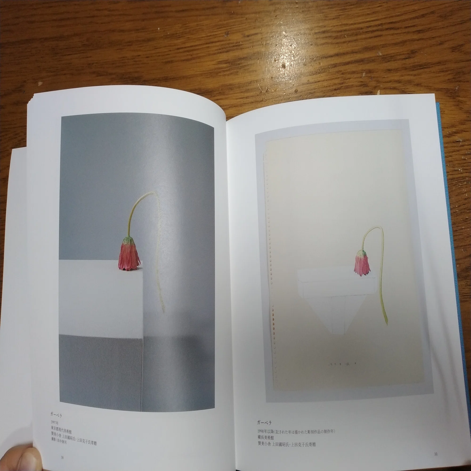 須田悦弘展図録が届いた！｜eneo