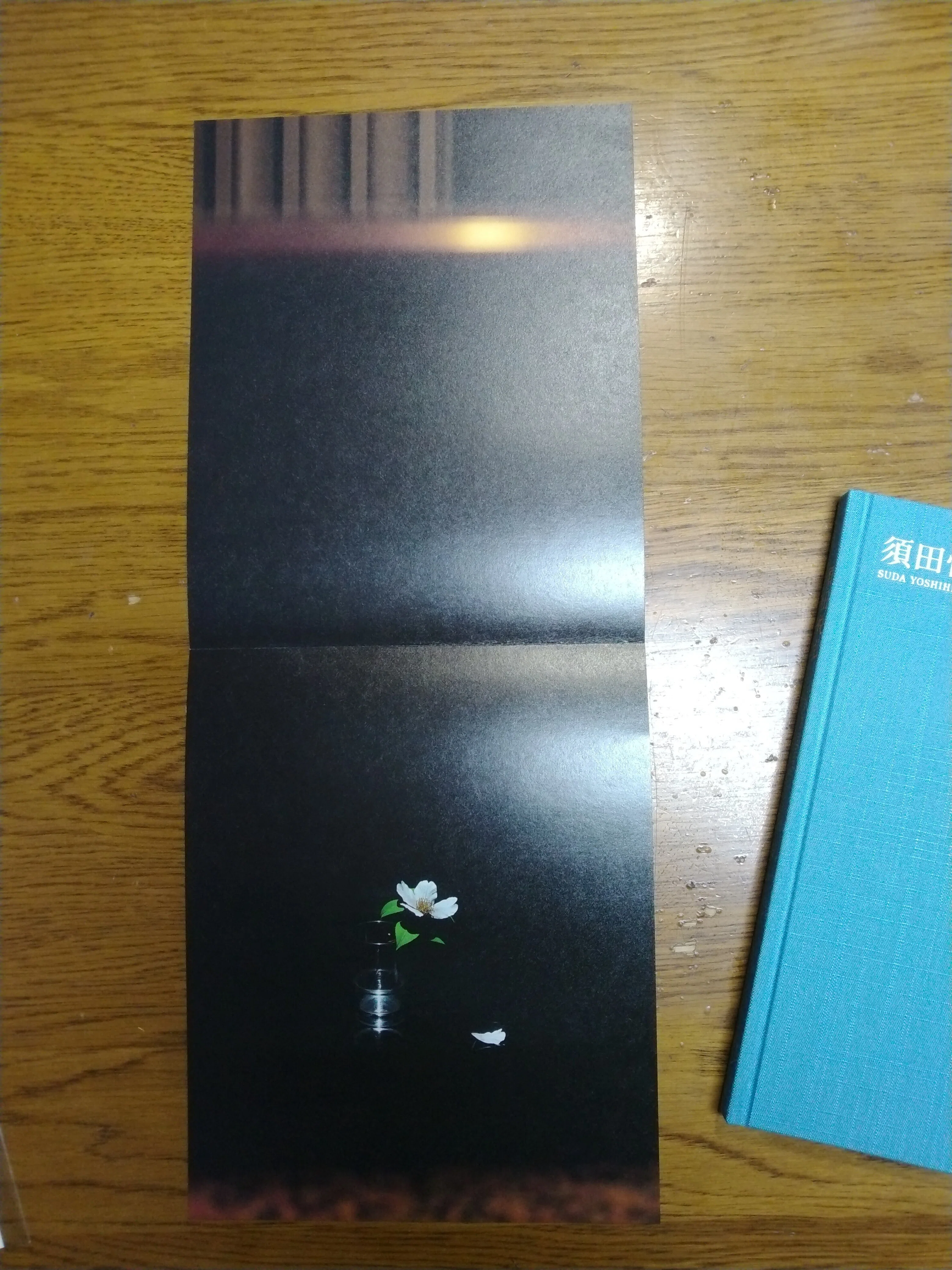 須田悦弘展図録が届いた！｜eneo