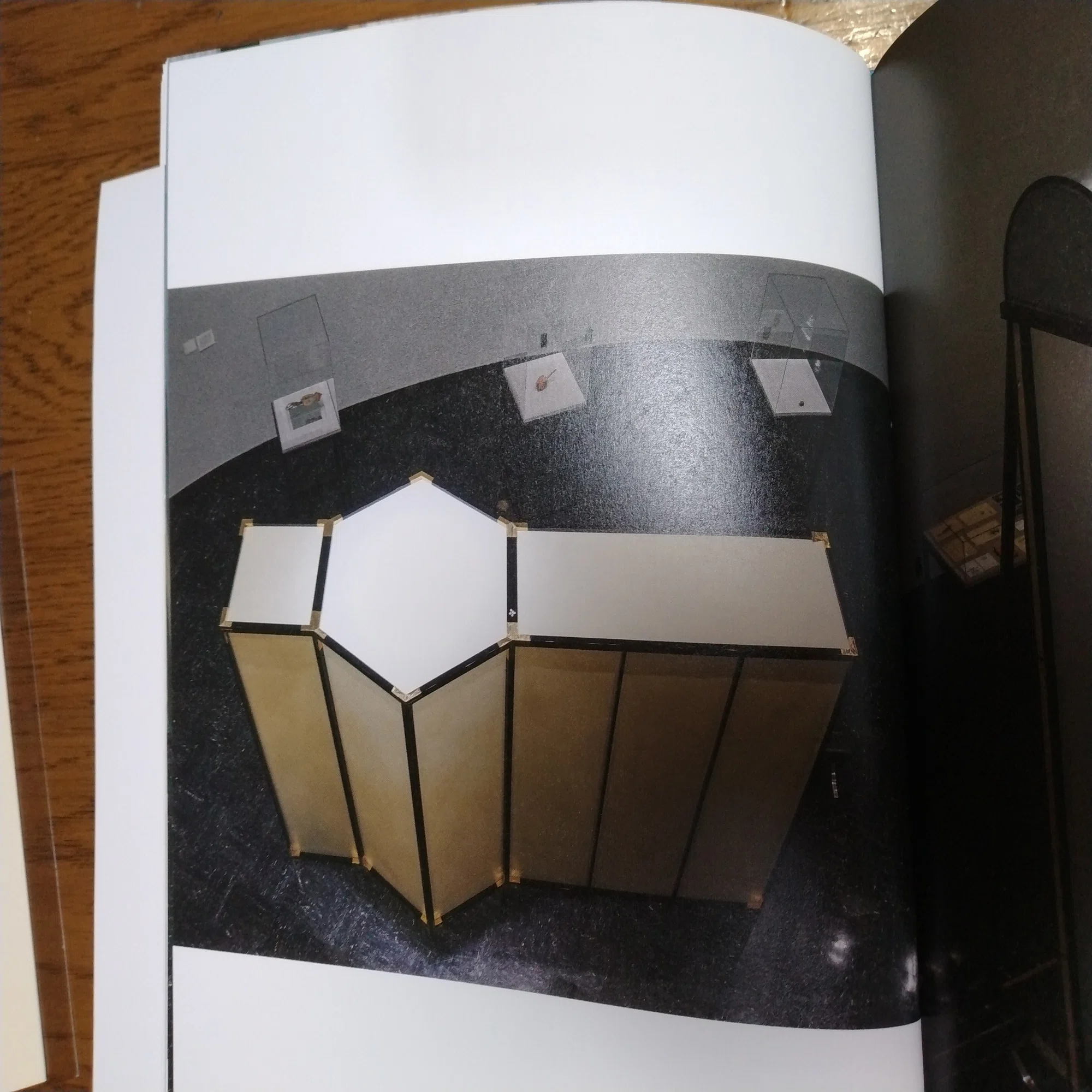 須田悦弘展図録が届いた！｜eneo