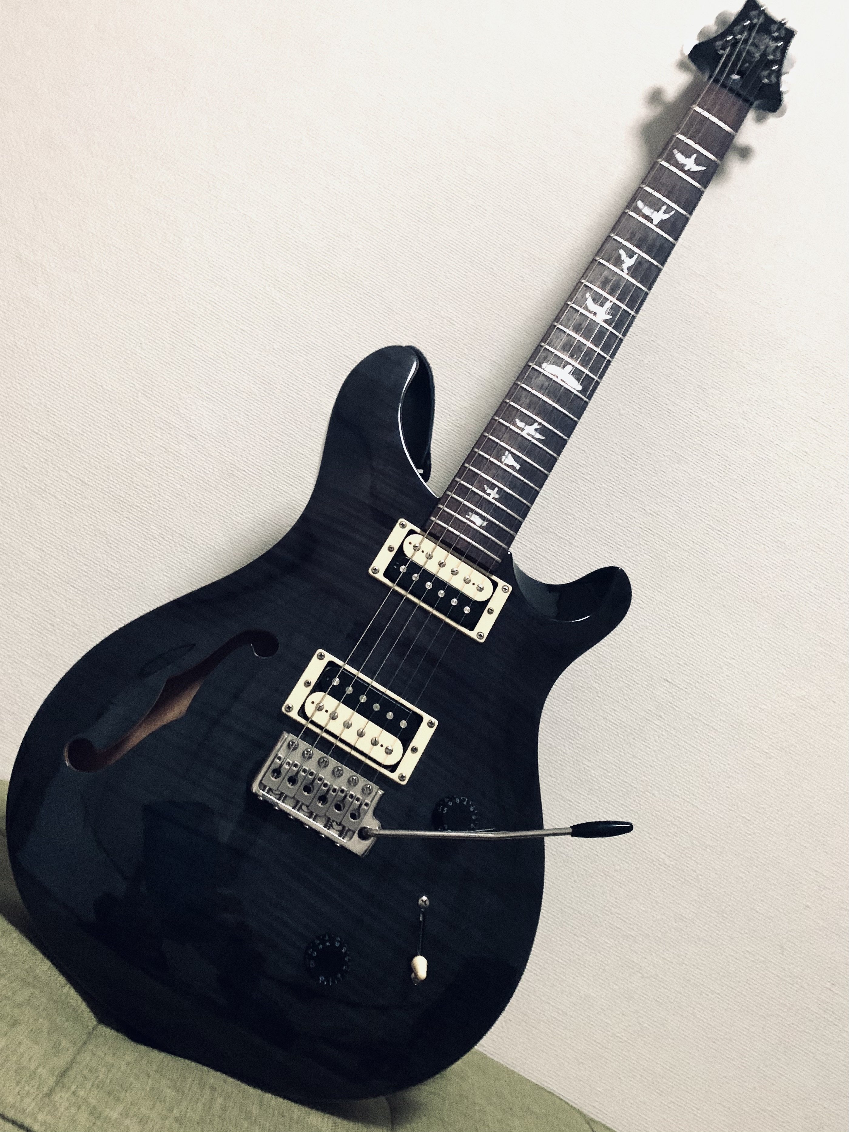 PRS SEにハマりました。(後半)|シシクラセイゴ PRS SEにハマりました。(後半)|シシクラセイゴ