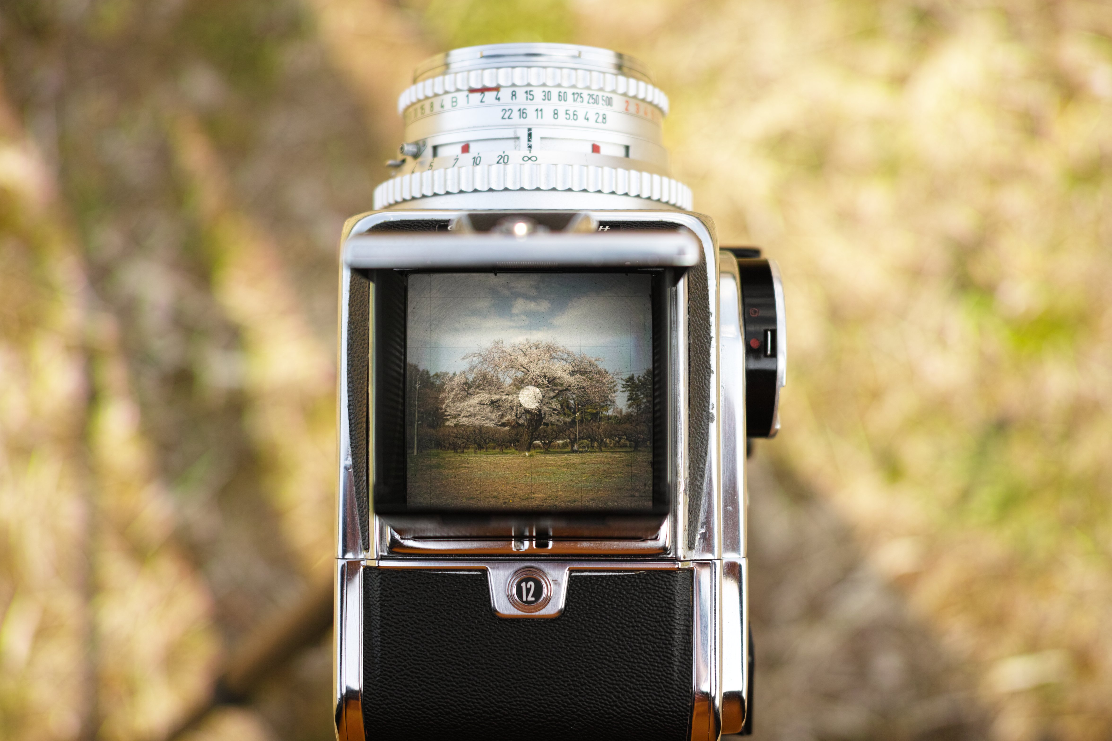 レビュー】初めて宇宙に行ったカメラ Hasselblad 500Cを2017年 レビュー】初めて宇宙に行ったカメラ Hasselblad 500Cを2017年