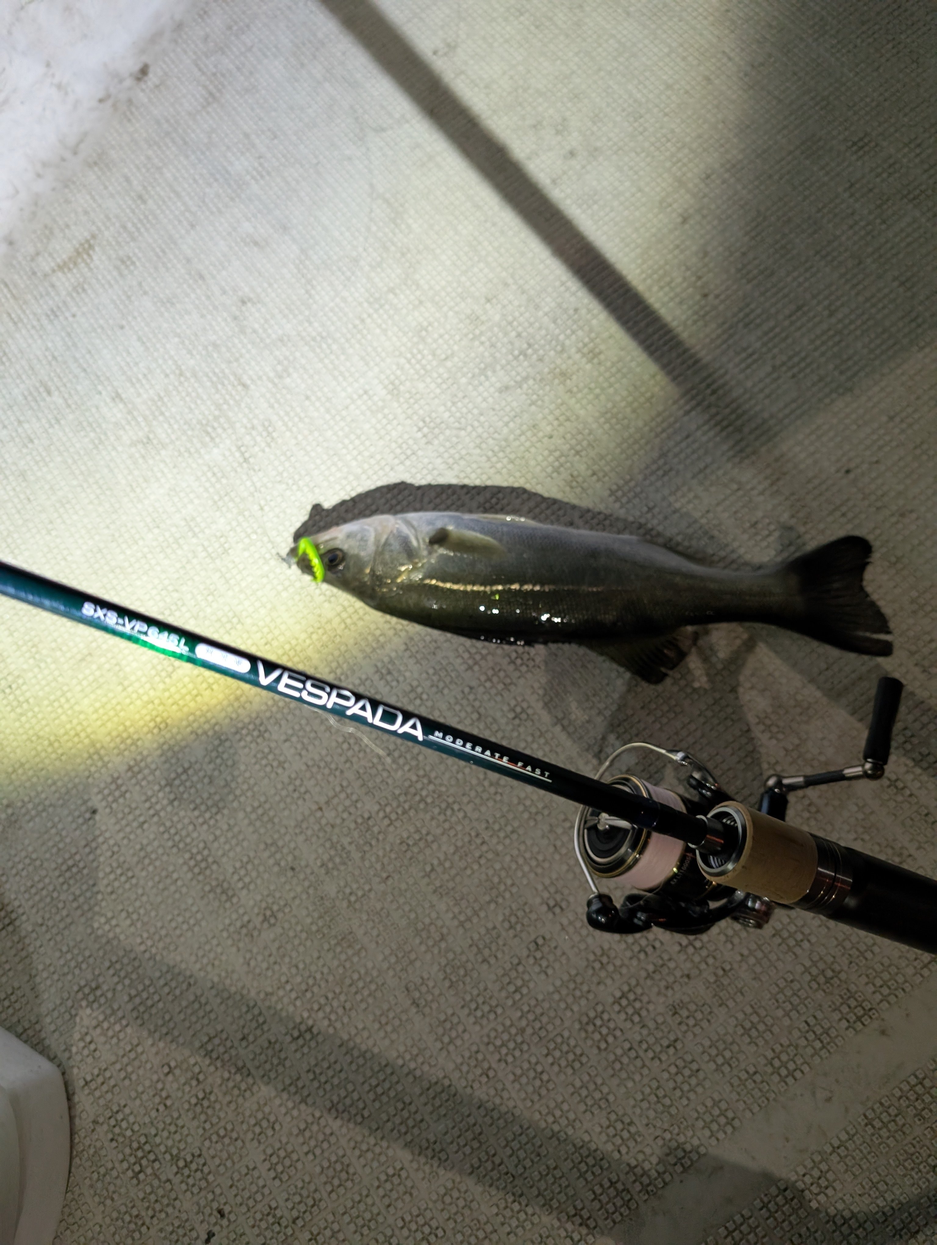 SXS-VP645L 放浪漫 VESPADA Moderate Fast】発売に寄せて｜竿兄弟のお