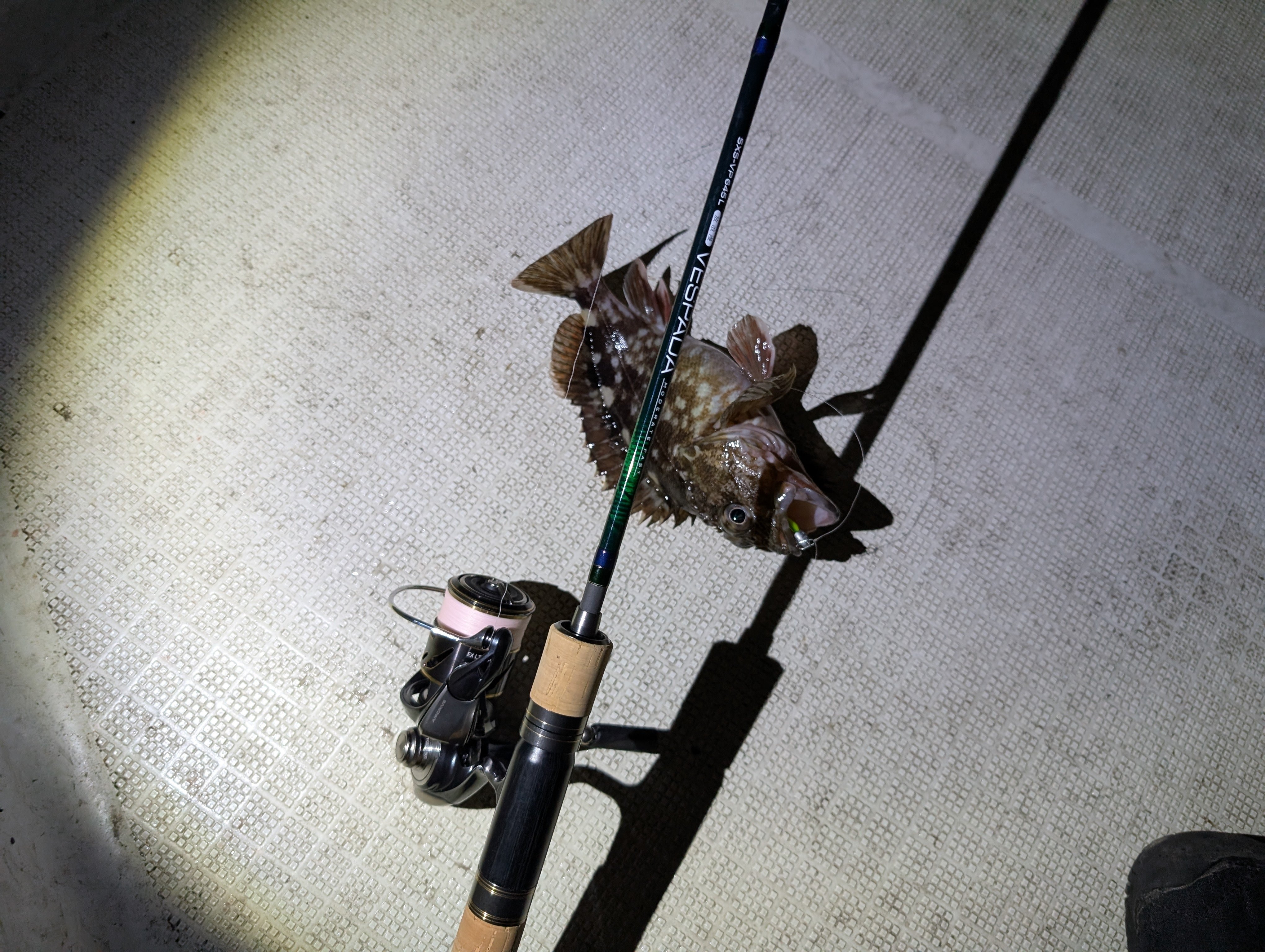 SXS-VP645L 放浪漫 VESPADA Moderate Fast】発売に寄せて｜竿兄弟のお