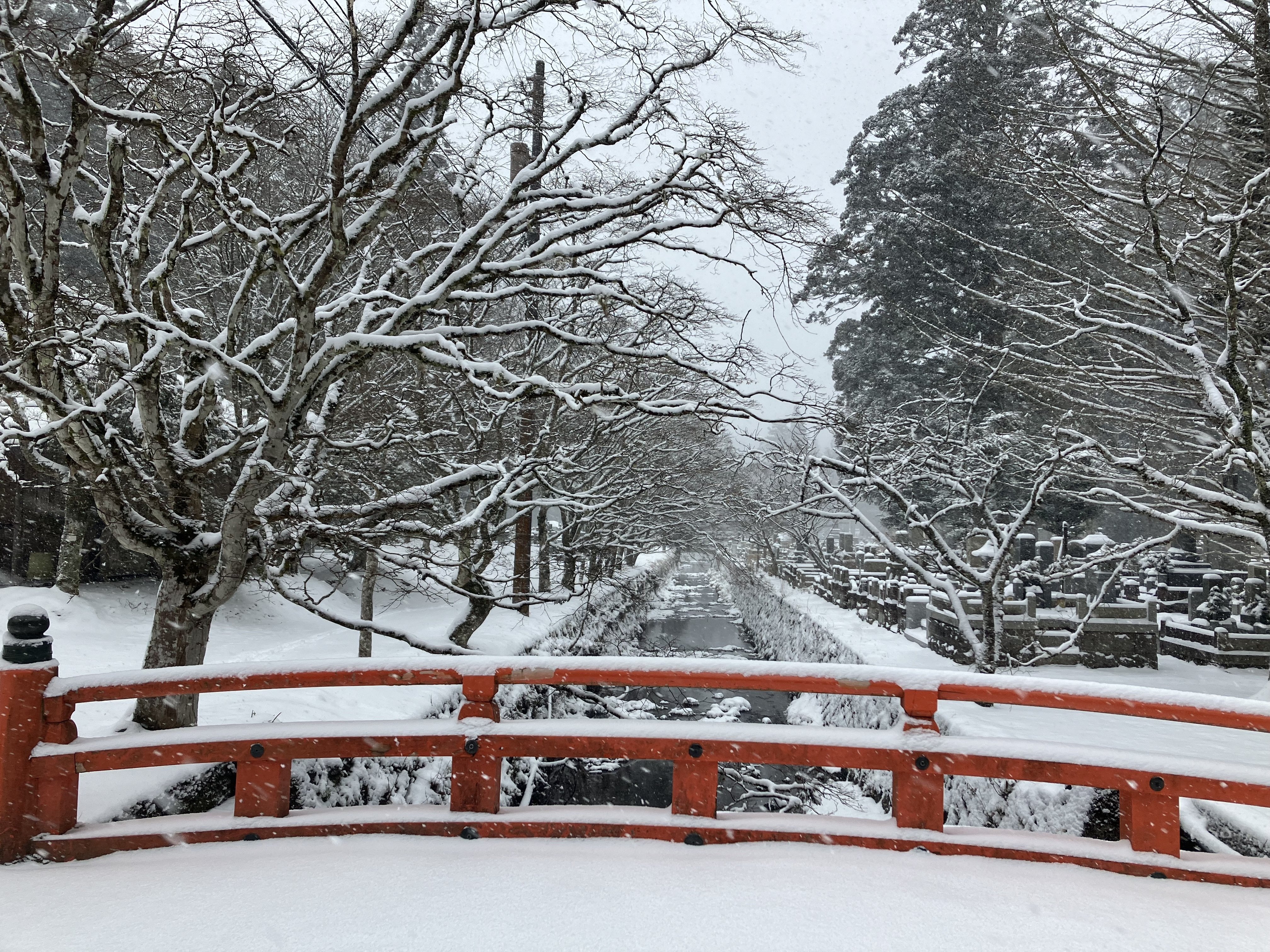 雪が積もり寒い朝となりました。｜高野山法徳堂/空海と高野山の魅力を