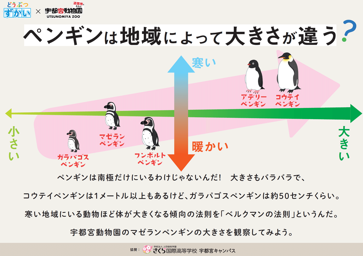 動物園の学びが「見える化」される―新しい動物園の魅力