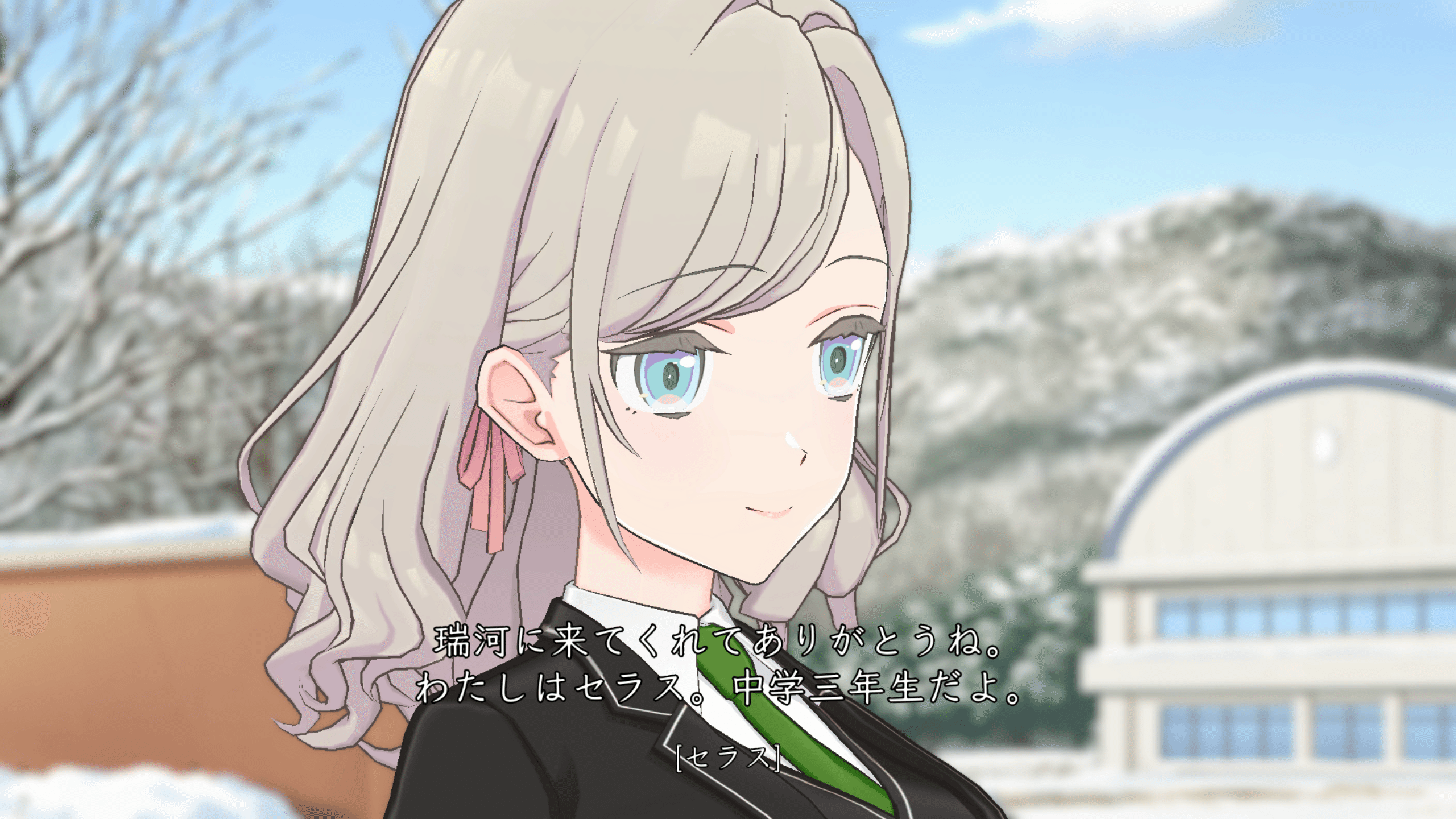 セラス・柳田・リリエンフェルト & 桂城泉って？｜わかめ