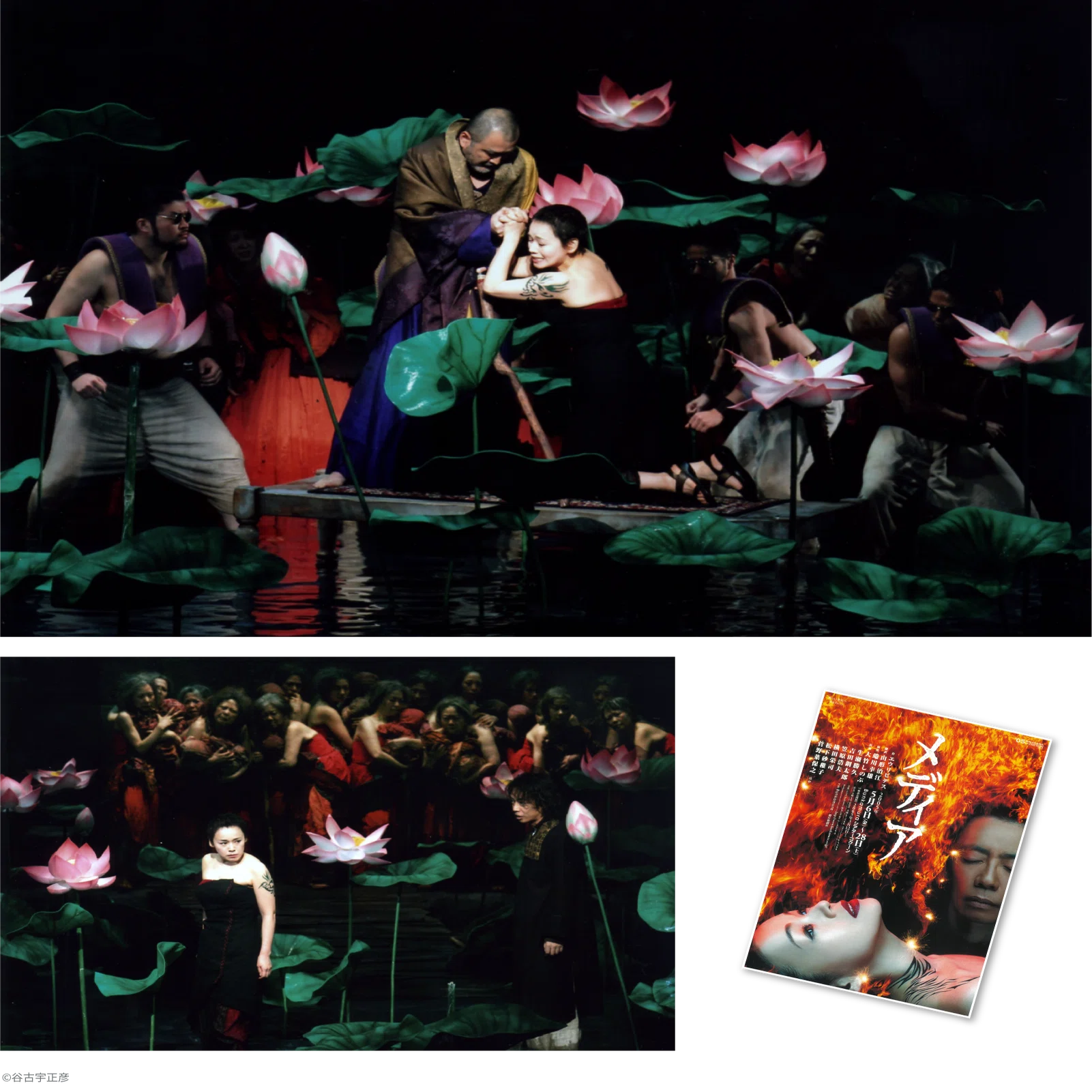 見本品　NINAGAWA VS COCOON DVD-BOX 2005年のBunkamura】蜷川幸雄の新たな挑戦「NINAGAWA VS COCOON