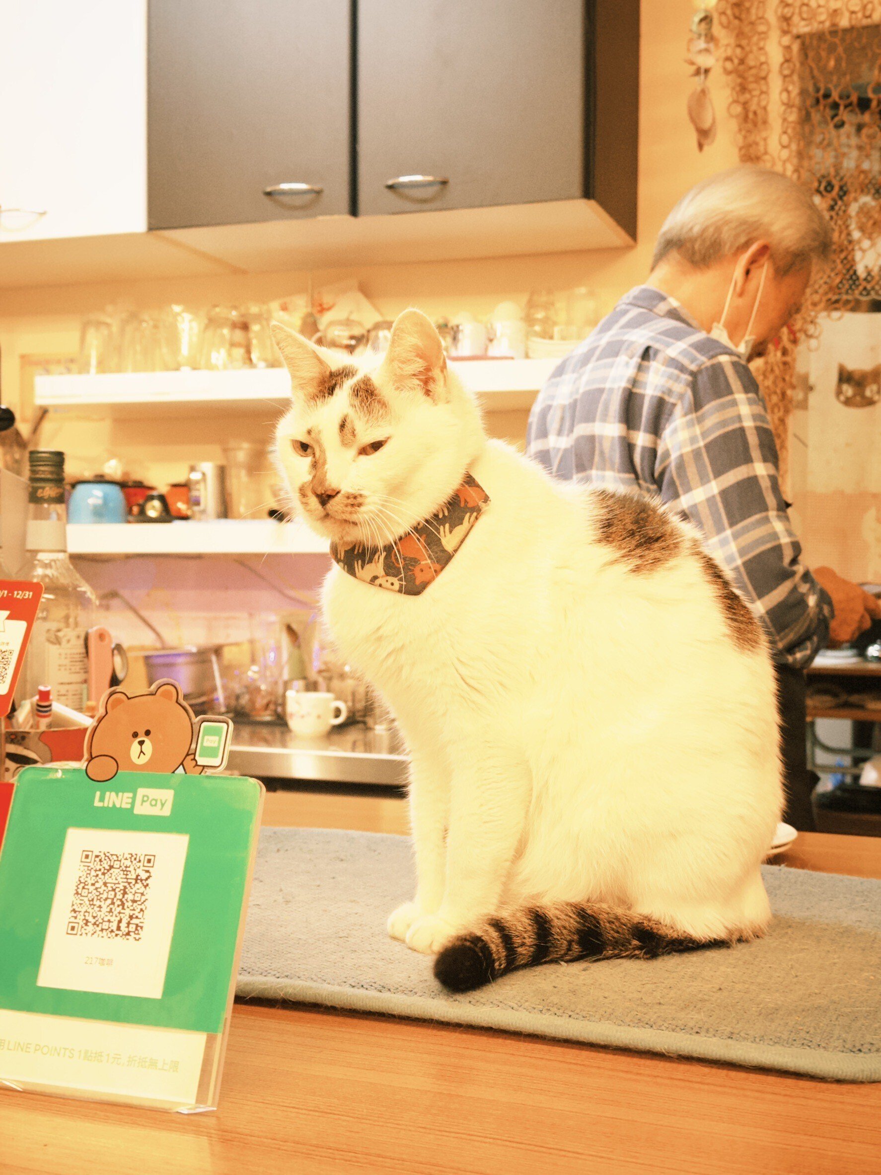 台湾人彼女と台湾一周：提灯の街「九份」と猫の町「猴硐」｜楠本雅之