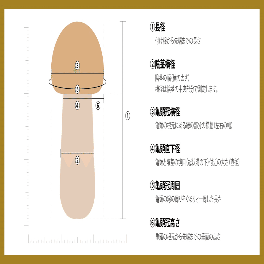 プロクリニック 亀頭の小ささ ランキング トップ３を公表！｜イケマラペディア powerd by プロクリニック
