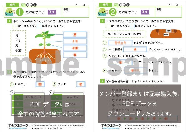 Amazon.co.jp: 令和4年度対応 新学習指導要領 学習整理 理科 3年