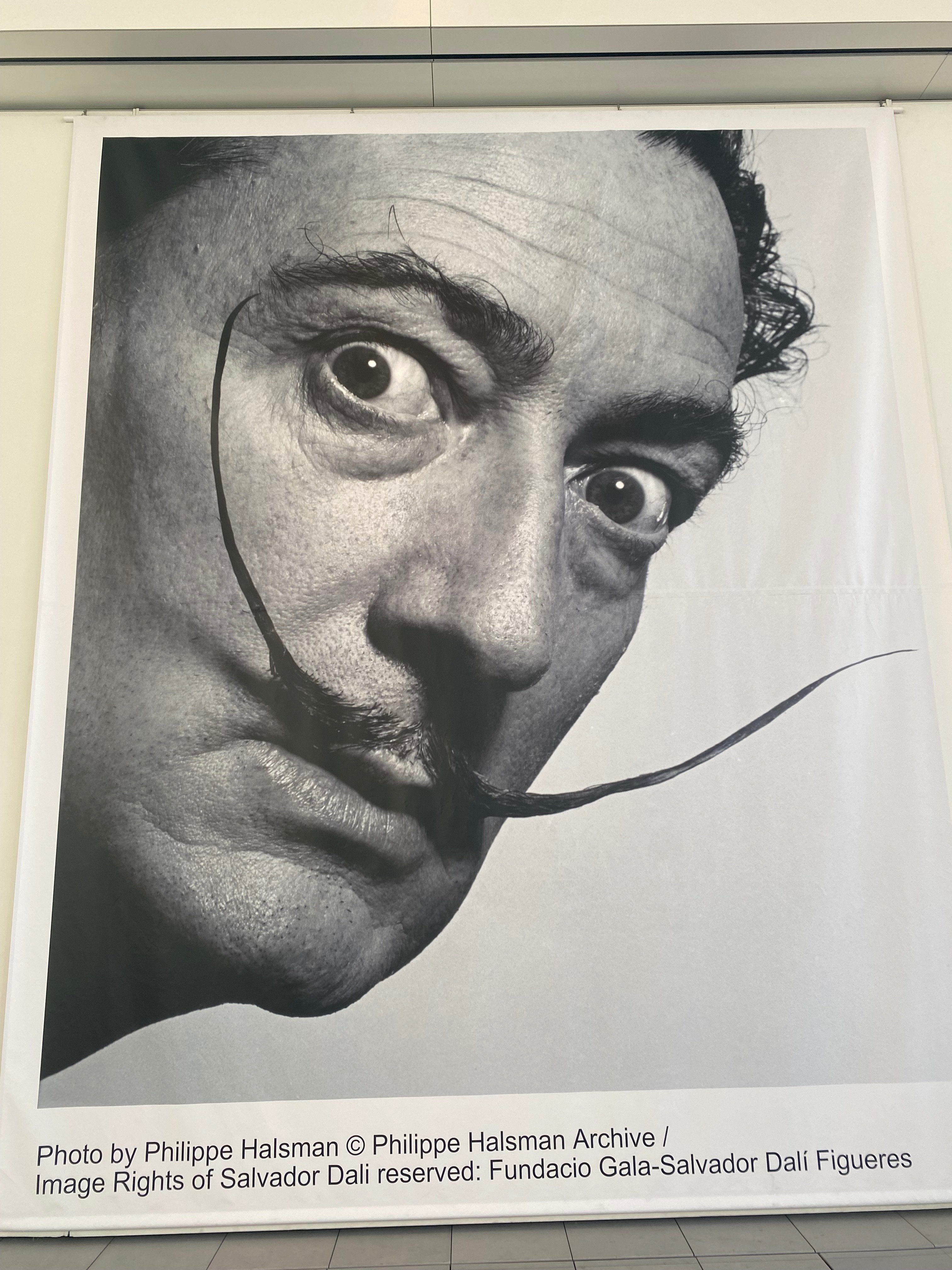 生誕120周年サルバドール・ダリ〜天才の秘密〜」展｜ヤマシタ