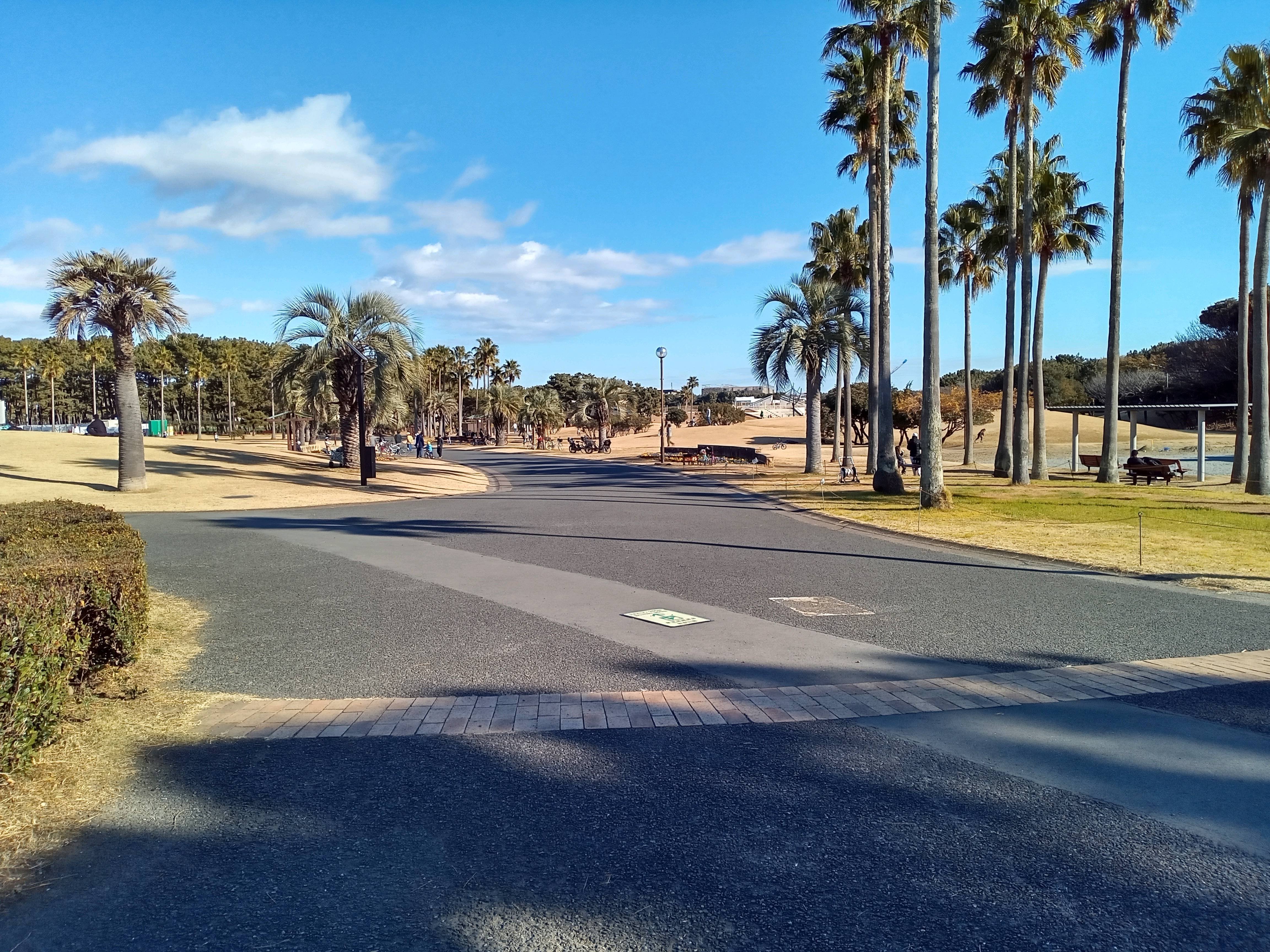 2025年1月1日 辻堂海浜公園｜siouxcitizen