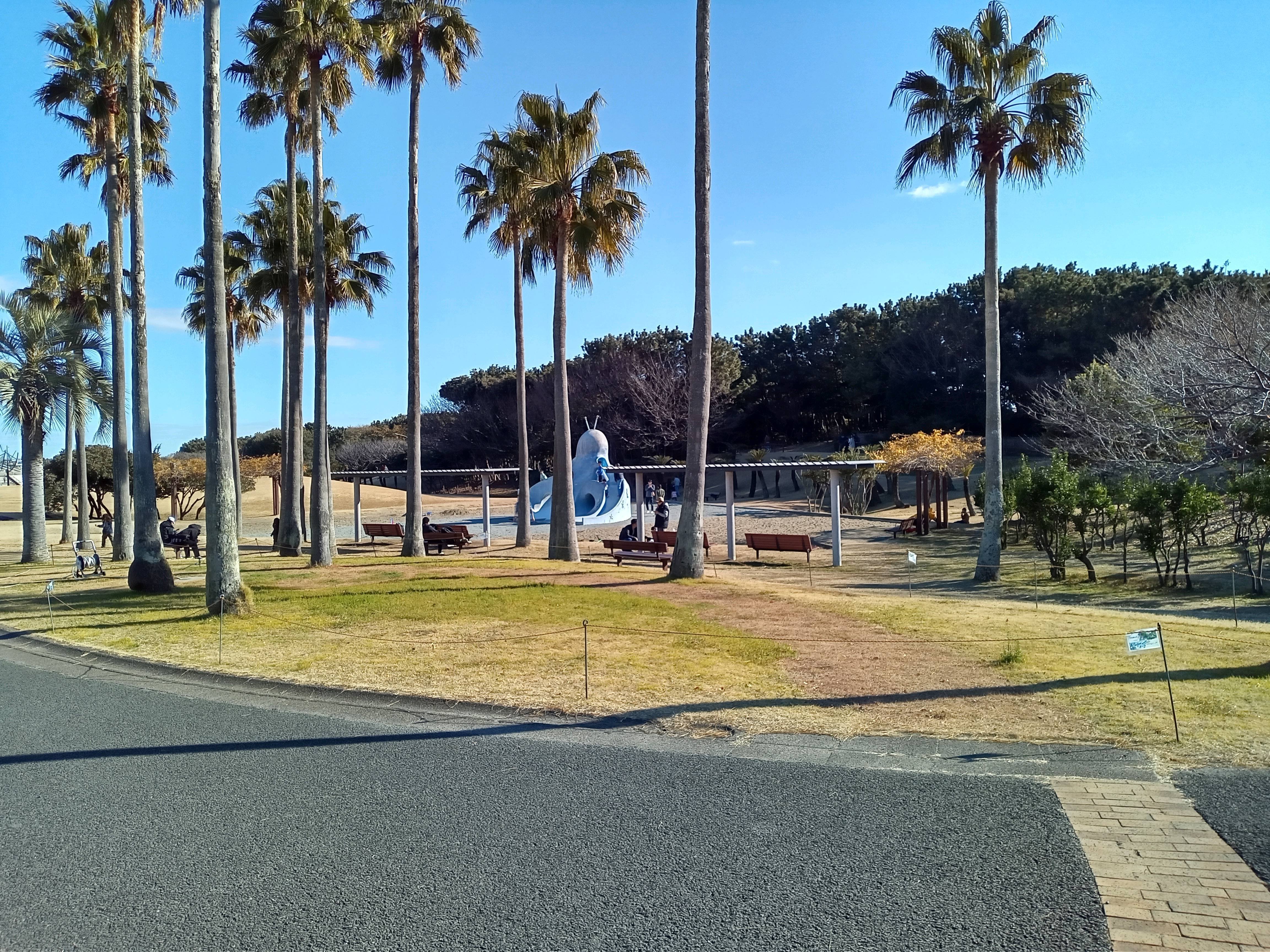 2025年1月1日 辻堂海浜公園｜siouxcitizen