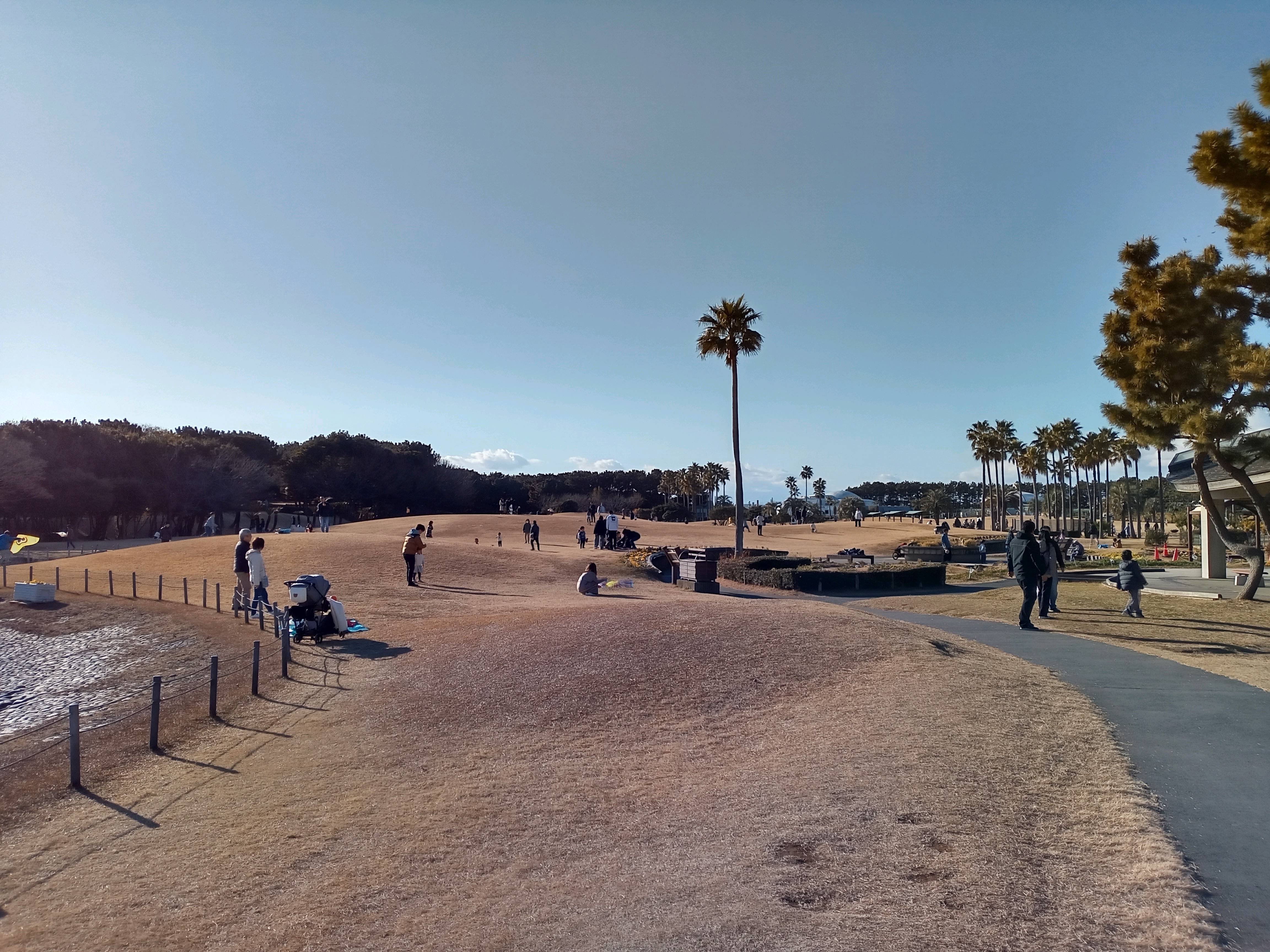 木村一堂　海岸風景 Japan's Coastal Gem… Ruined by Tourists? - YouTube