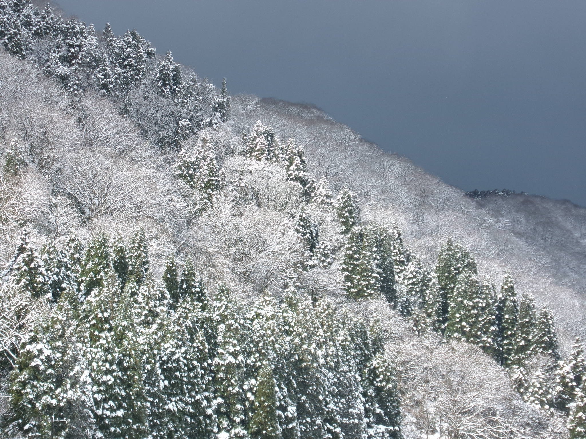 何回来てもステキな雪景色～♬ Yogokogen YAP Resort 新雪の美しい景色