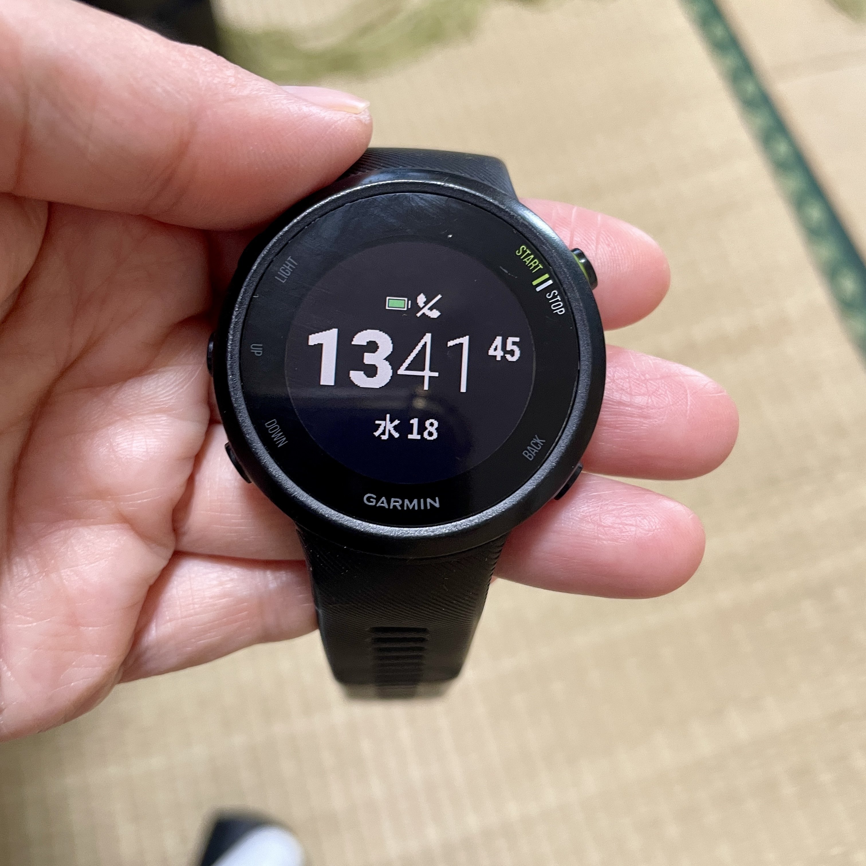 GARMIN ForeAthlete 45が壊れた | 「不細工や」とつぶやくことと