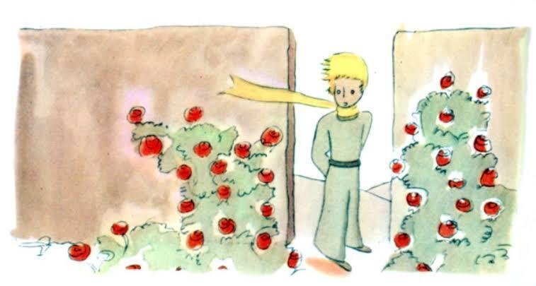 星の王子さまとバラの話｜とある公認心理師