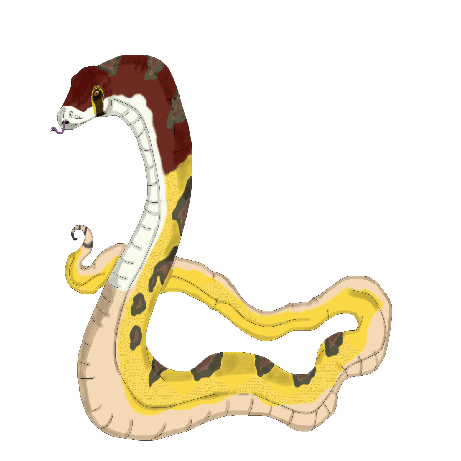 2025年の干支・ヘビにまつわる話【外伝】｜SOTA M