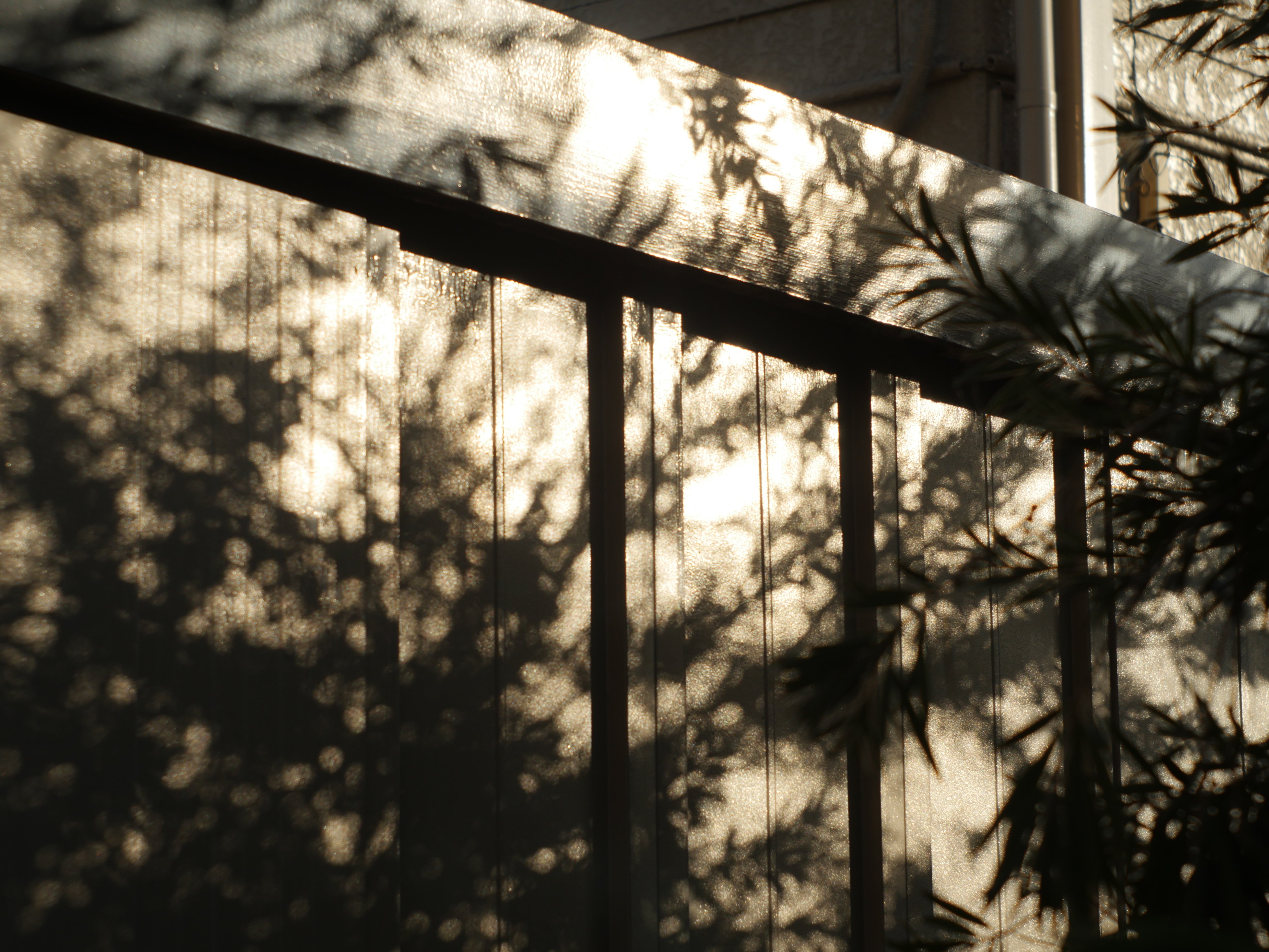 レンズ沼あれこれ:Industar 26M 52mm F2.8|ひっくすK レンズ沼あれこれ:Industar 26M 52mm F2.8|ひっくすK