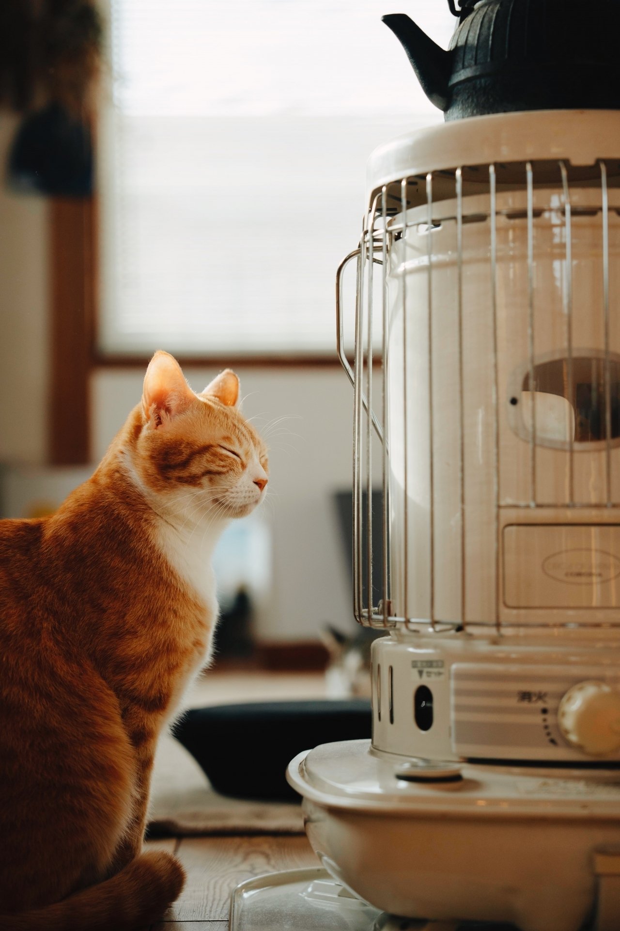 速暖遠赤外線電気ヒーター NIPLIFE 電気ヒーターNUKUREA ヌクレア 暖房器具 遠赤外線