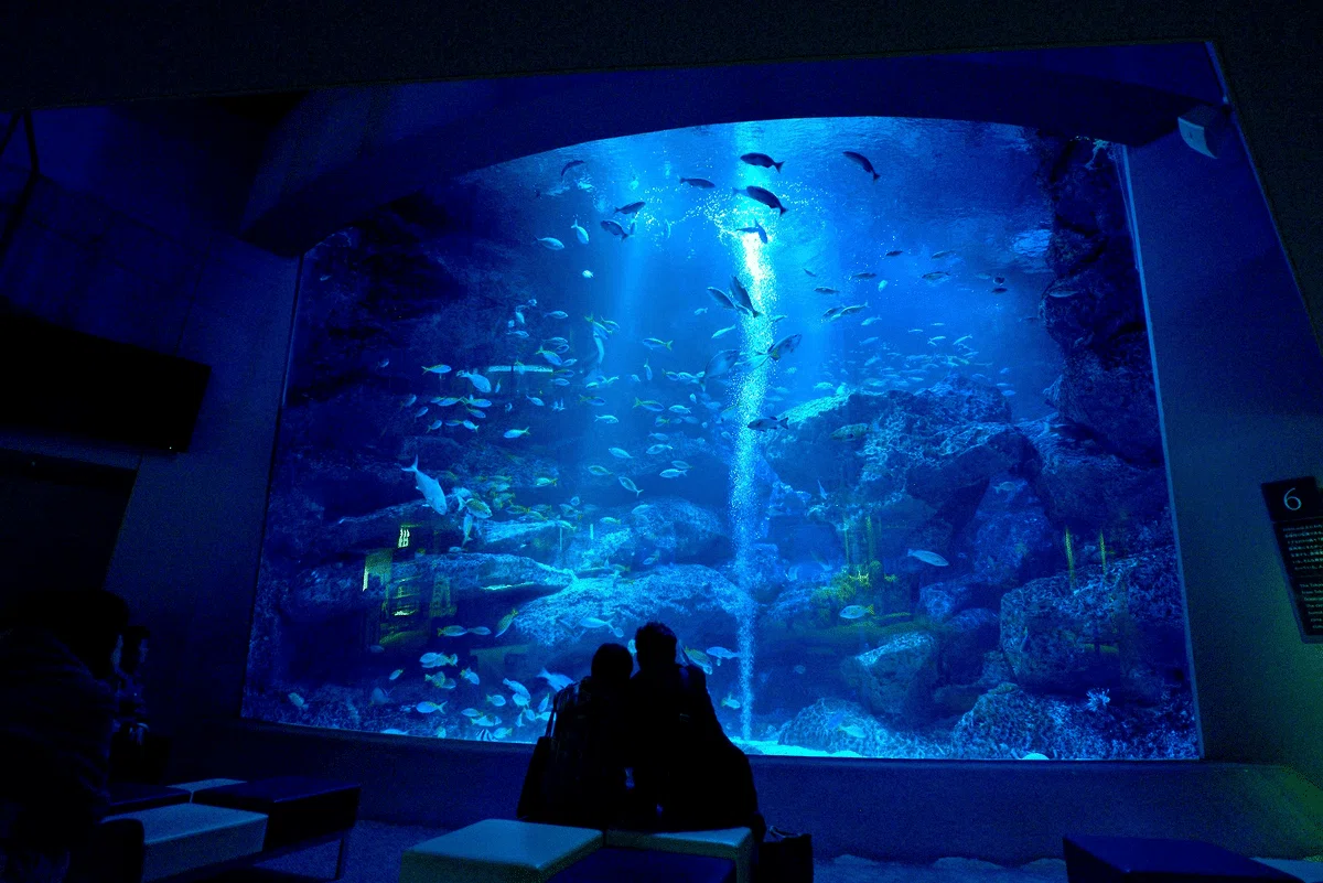 東京の子連れスポット：すみだ水族館