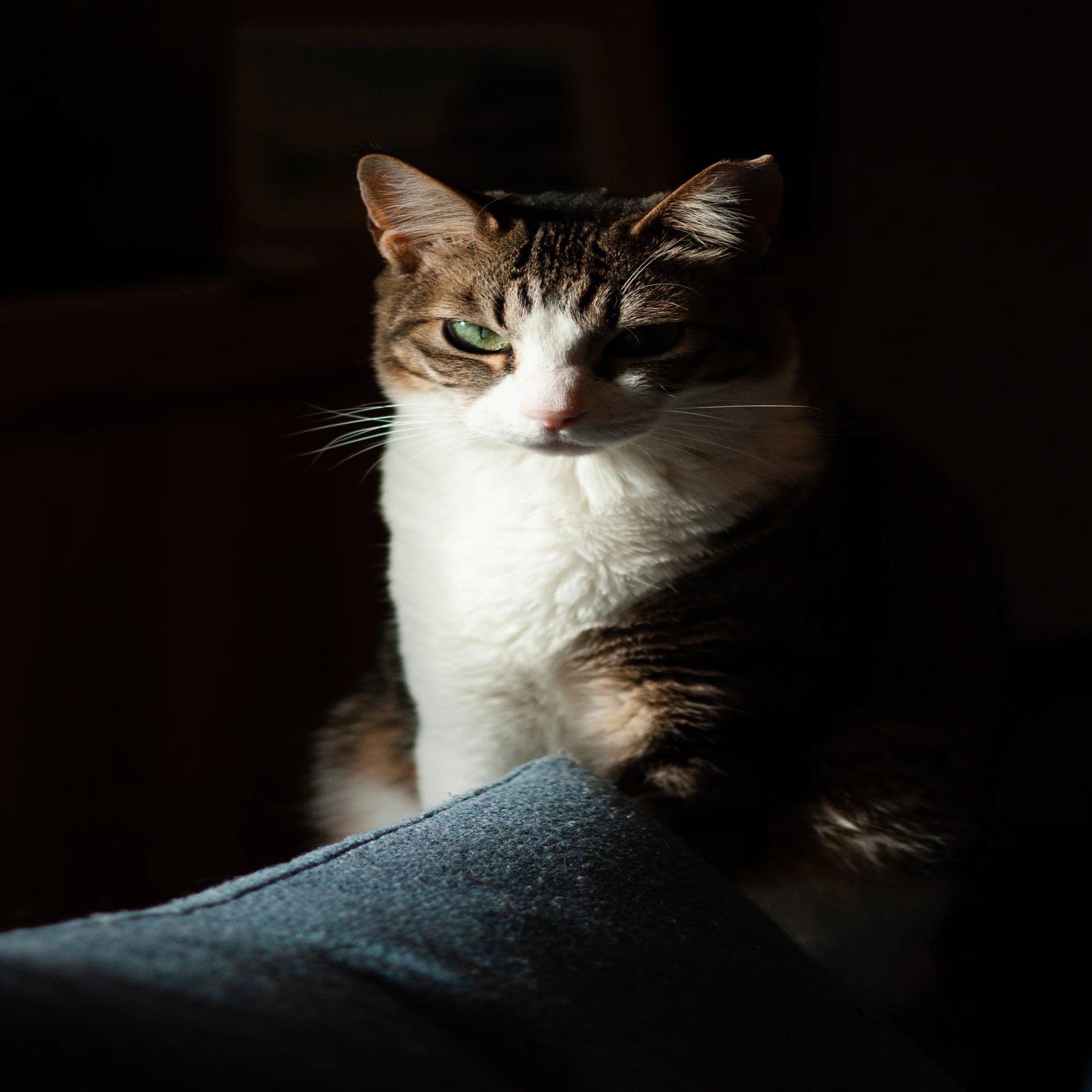 初めての一眼レフ。PENTAX K200D｜がま