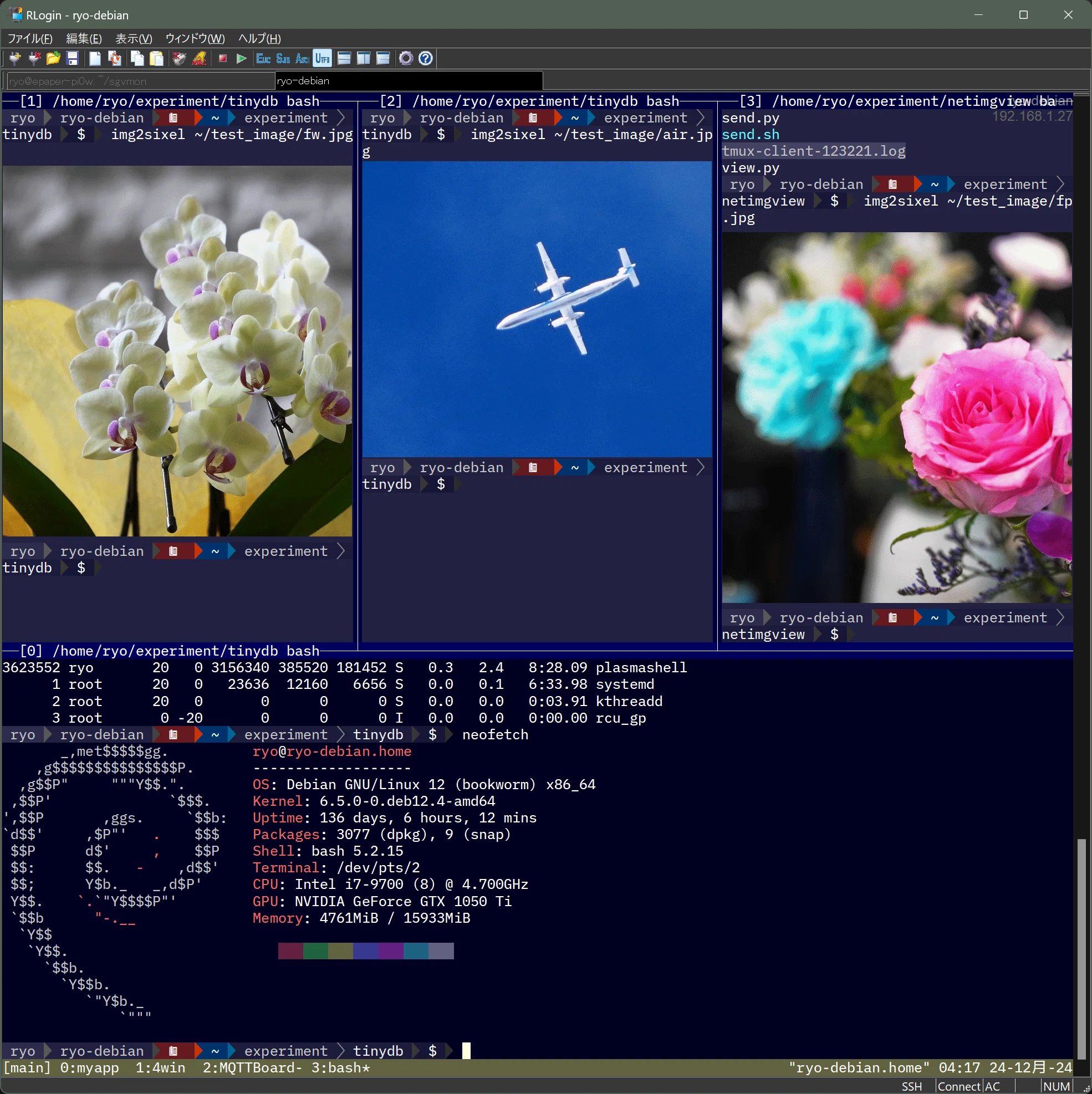 tumxで画像を表示する(Sixel対応)｜R-Y-O