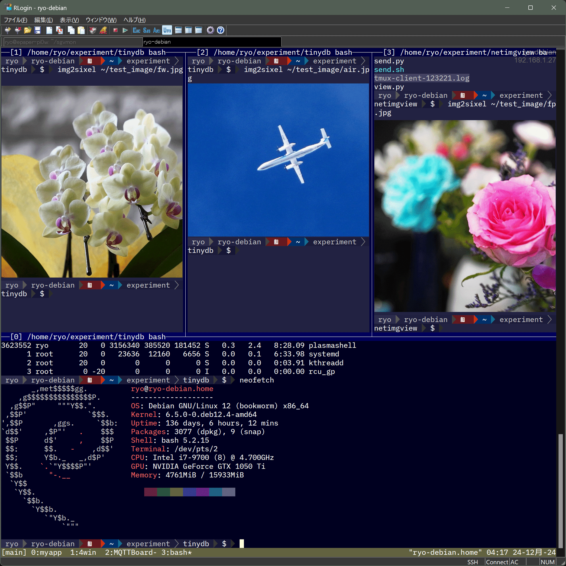 tumxで画像を表示する(Sixel対応)｜R-Y-O