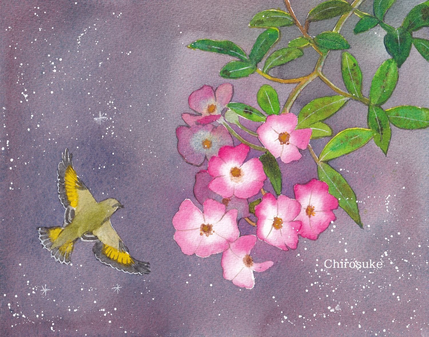 水彩画 鳥＋花｜ちろ