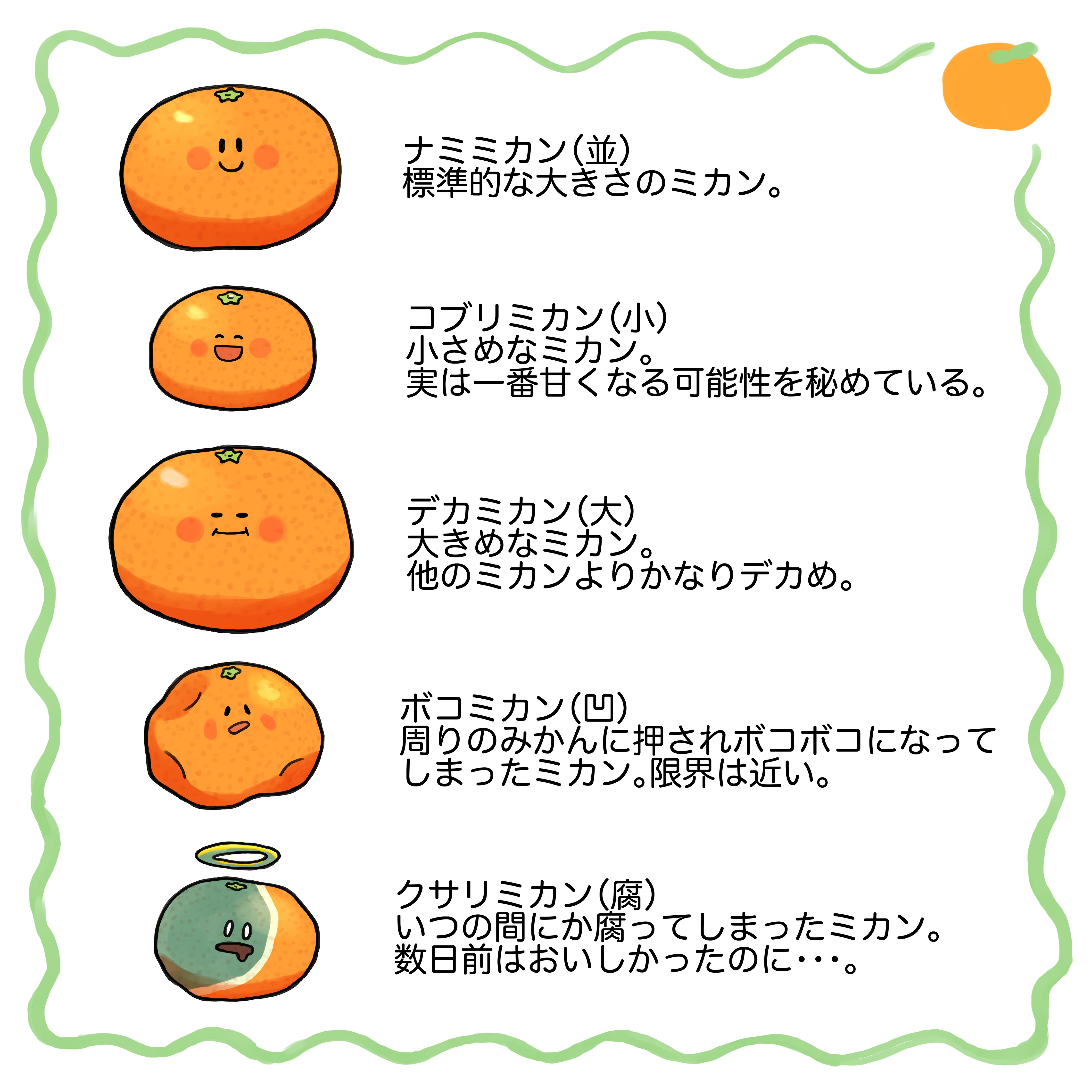 262 ミカンズ｜テツロウ（イラストレーター）