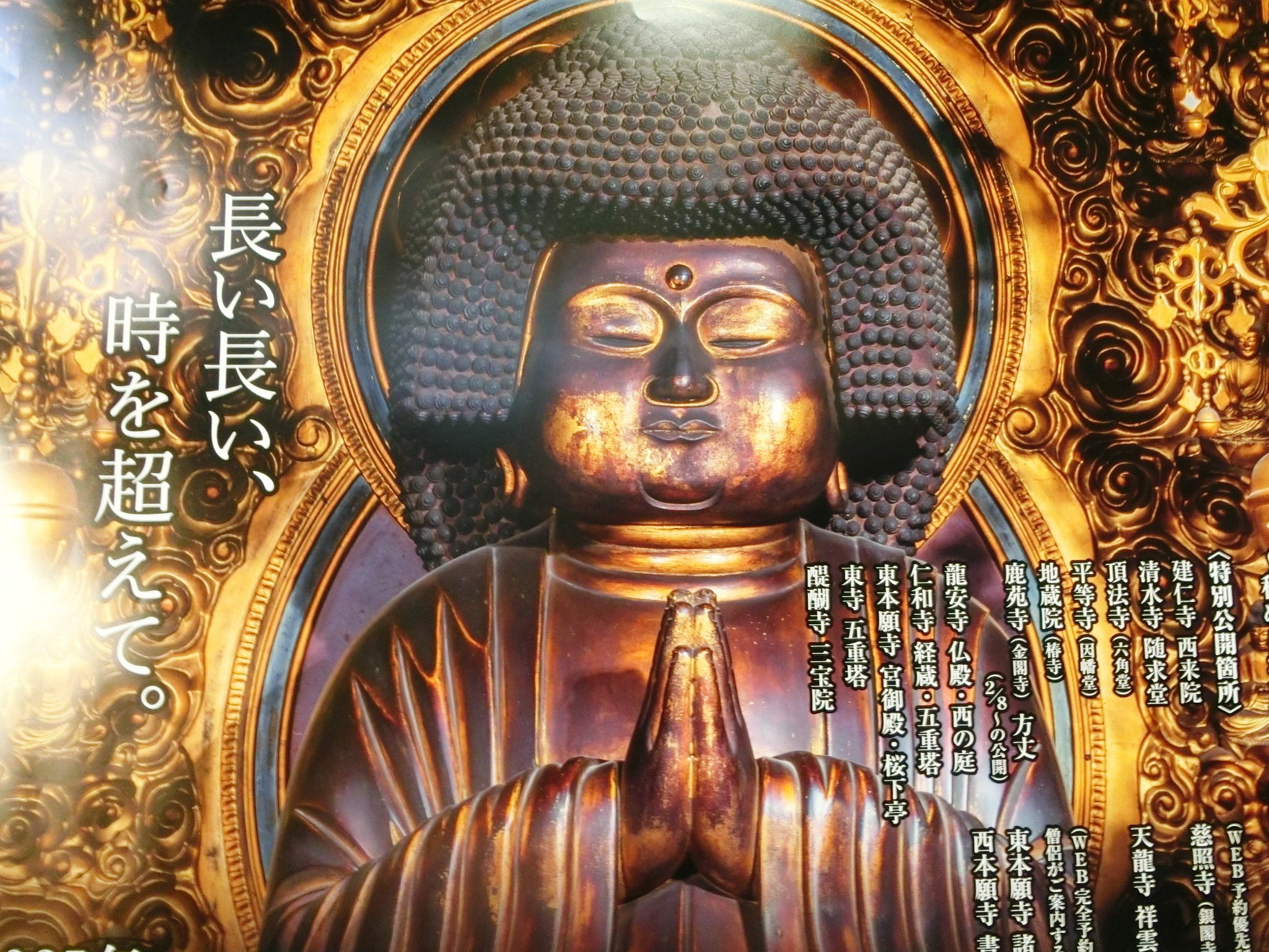 レアなアフロ仏「地蔵院（椿寺）」長谷寺式十一面と美仏な地蔵菩薩※一