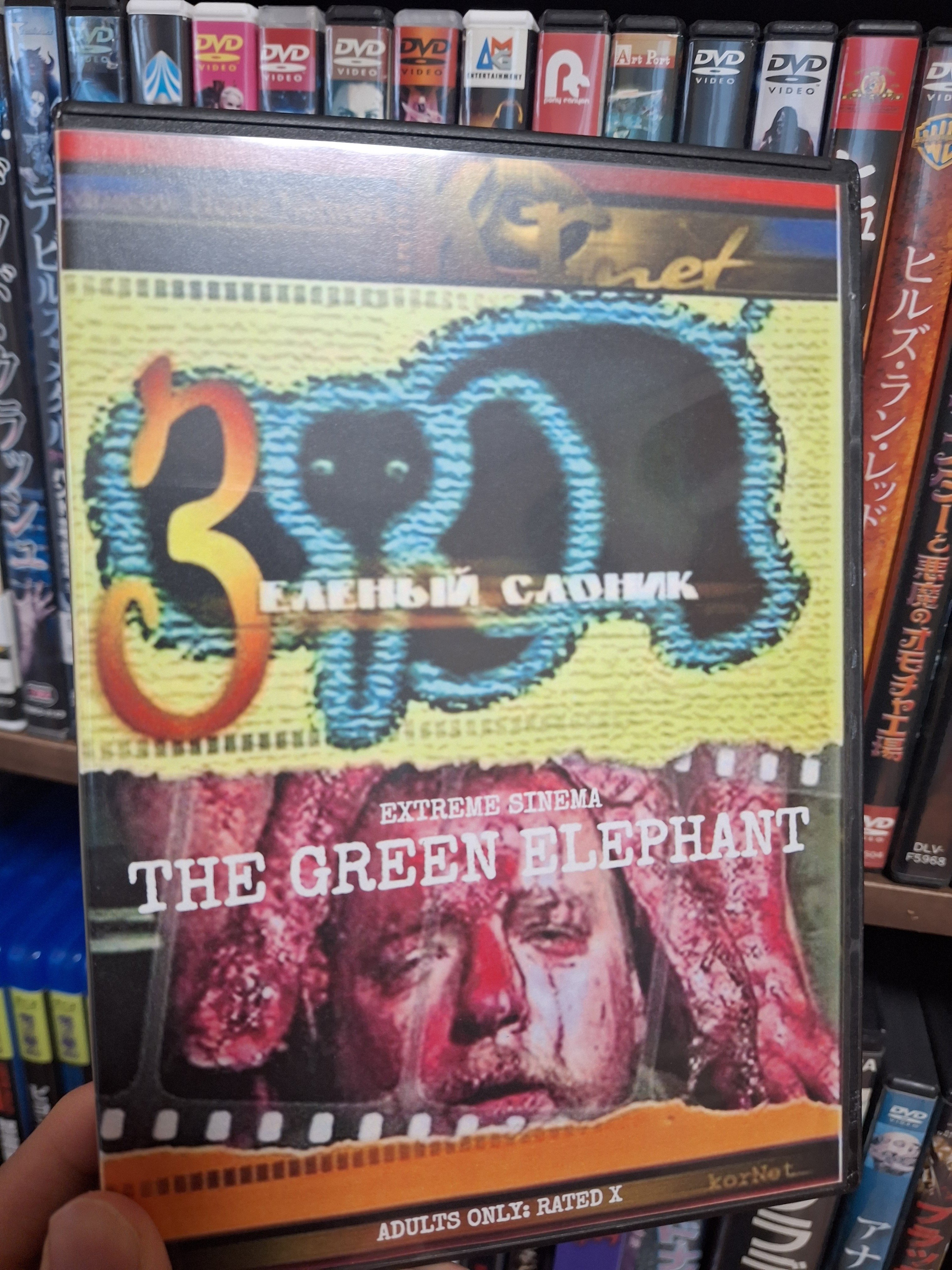 孤独の映画感想#1「The Green Elephant」｜コドク