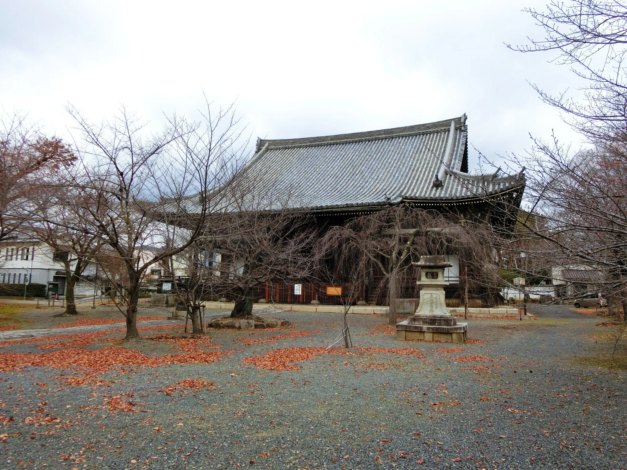 北野の鬼子母神「立本寺」染井吉野・枝垂桜など約40本【京都市上京区