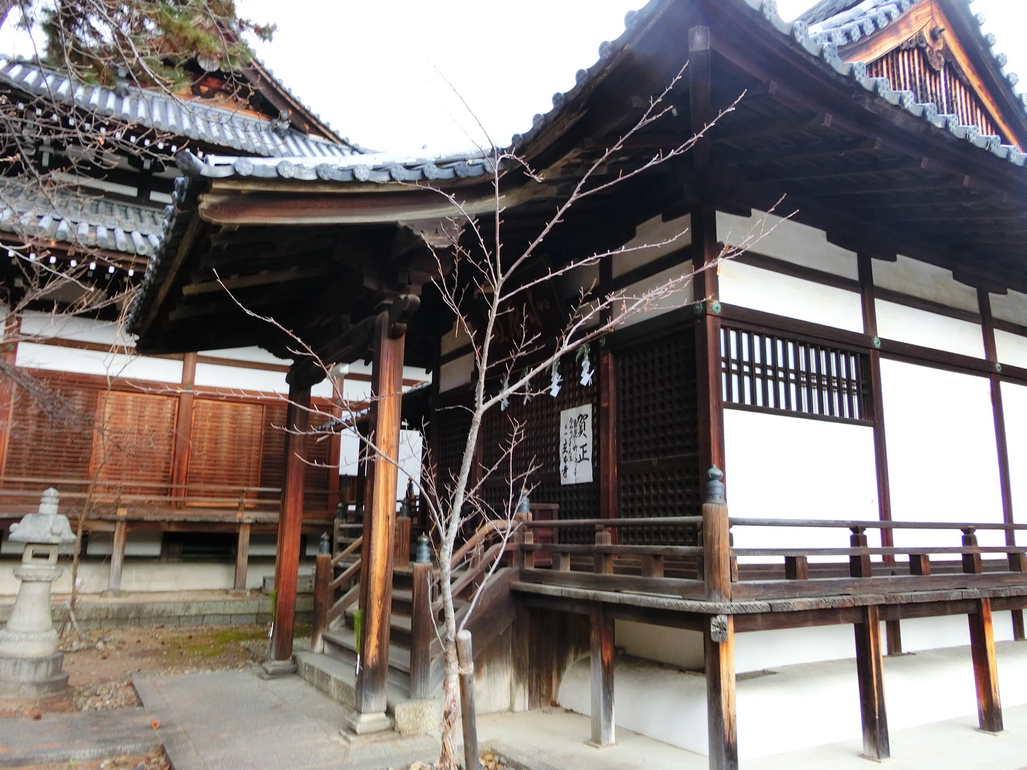 北野の鬼子母神「立本寺」染井吉野・枝垂桜など約40本【京都市上京区
