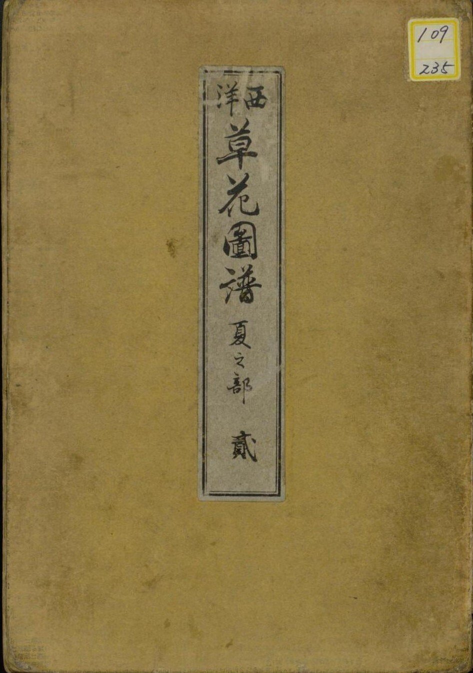 西洋草花図譜 夏之部 貮｜日本花卉文化株式会社
