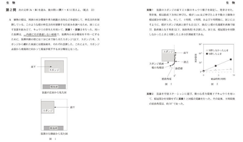 2025 共通テスト対策【生物】｜濱川学院 〜HammerAcademy〜