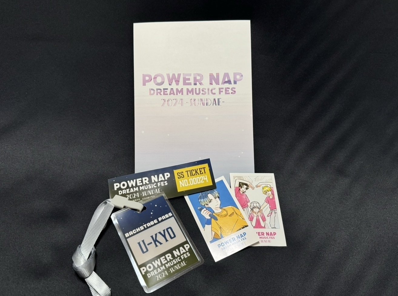 友人の誕生日に架空のライブパンフを作って贈った話｜シガノカオル