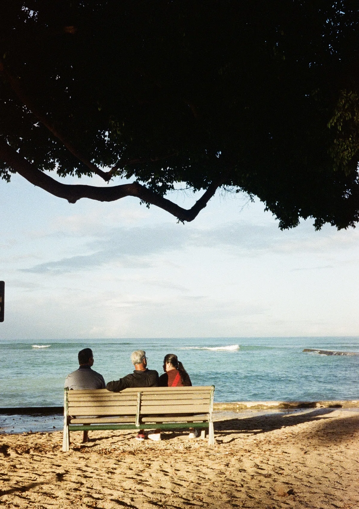 [Travel] Beautiful Scenery in Hawaii｜あんこ