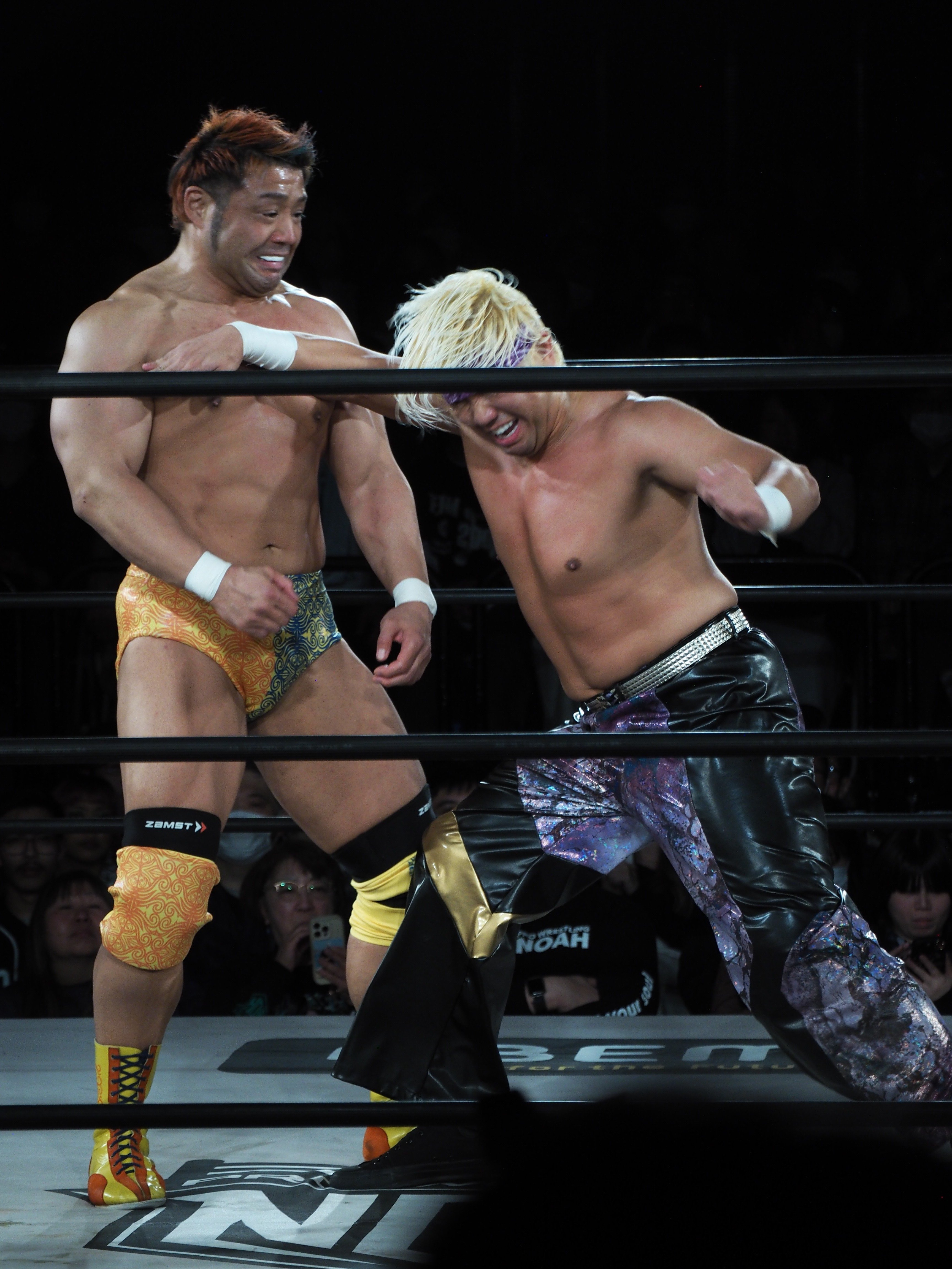 レジェンドプロレスラー　3体セット レジェンドプロレスラー 3体セット