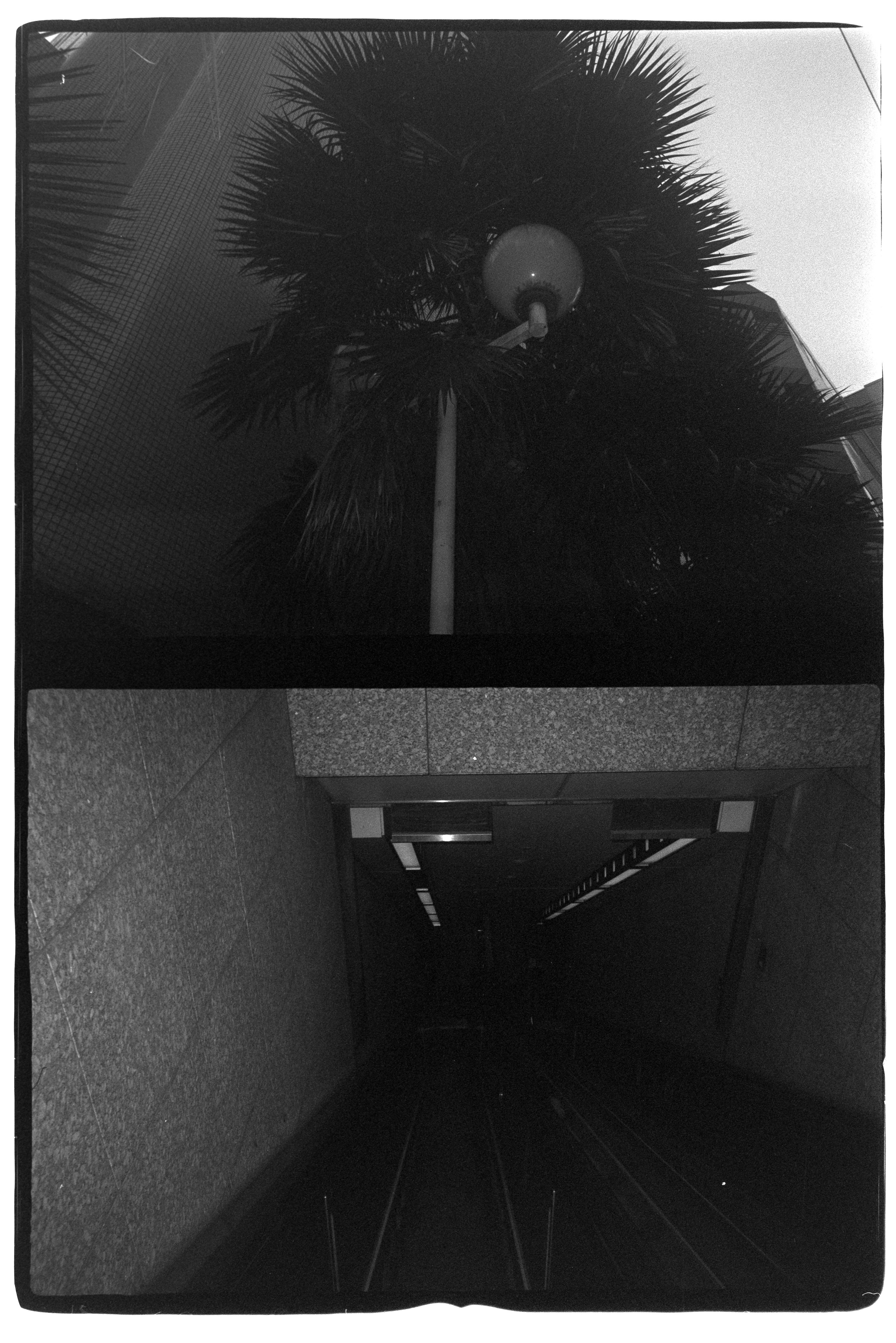 FUJIFILM TW-3 PRE-WINDINGを使ってみた｜TK_Photo