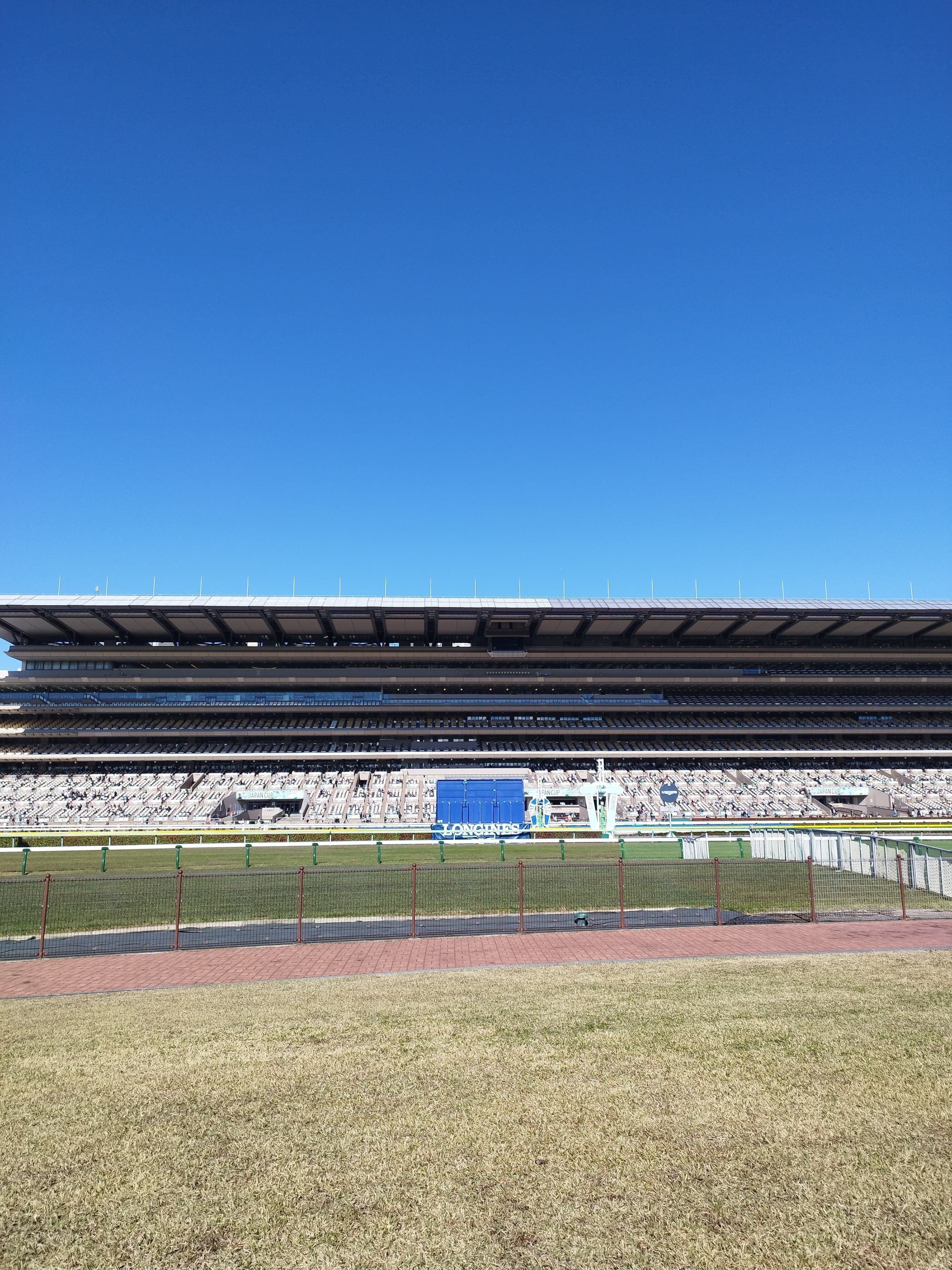 東京競馬場へ4回行った時のことを振り返ってみた【2024年】｜ゆー