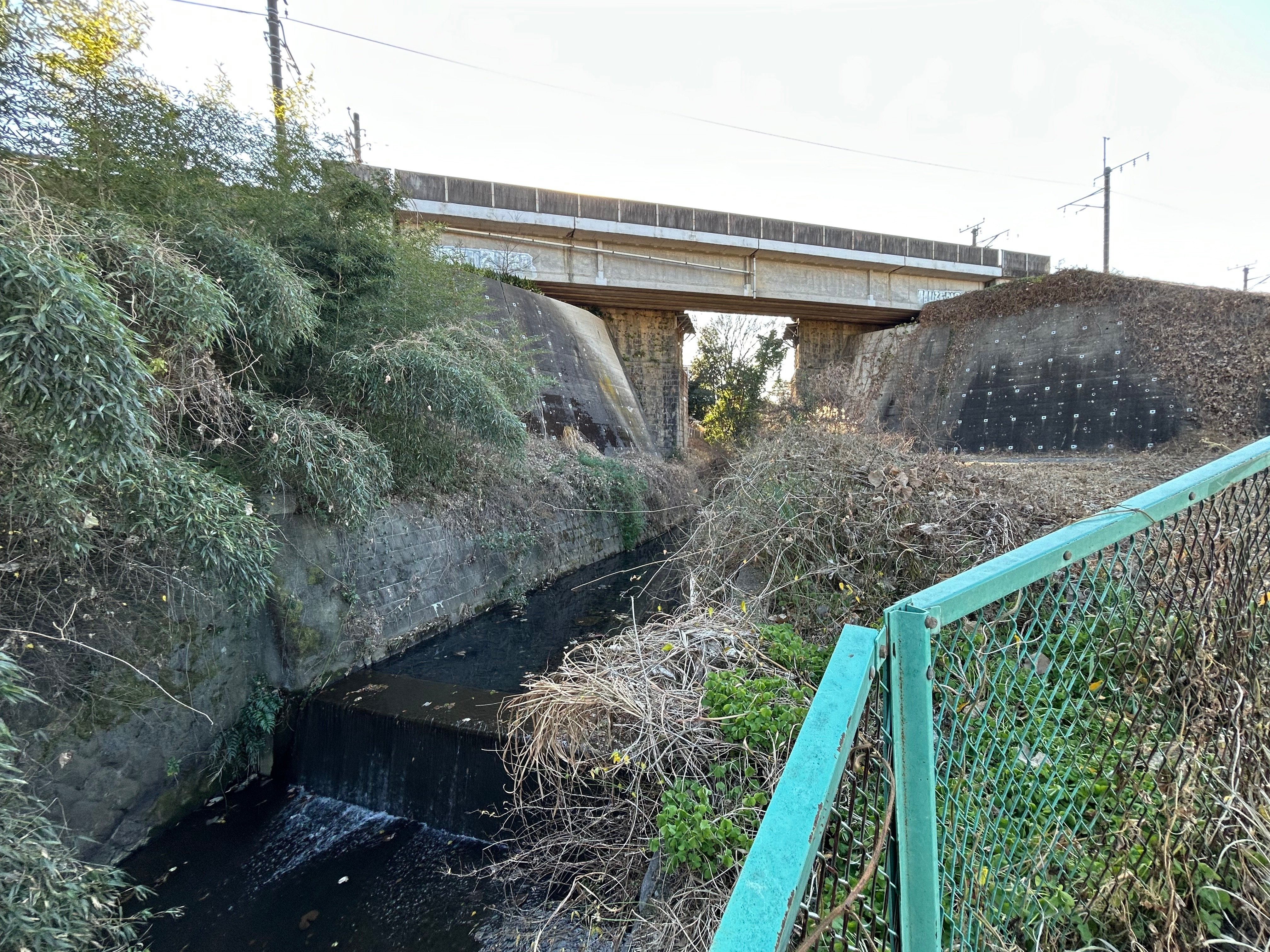 実践・散歩 2025年1月9日 岩川を遡る。246から国道16号線へ。カワセミ